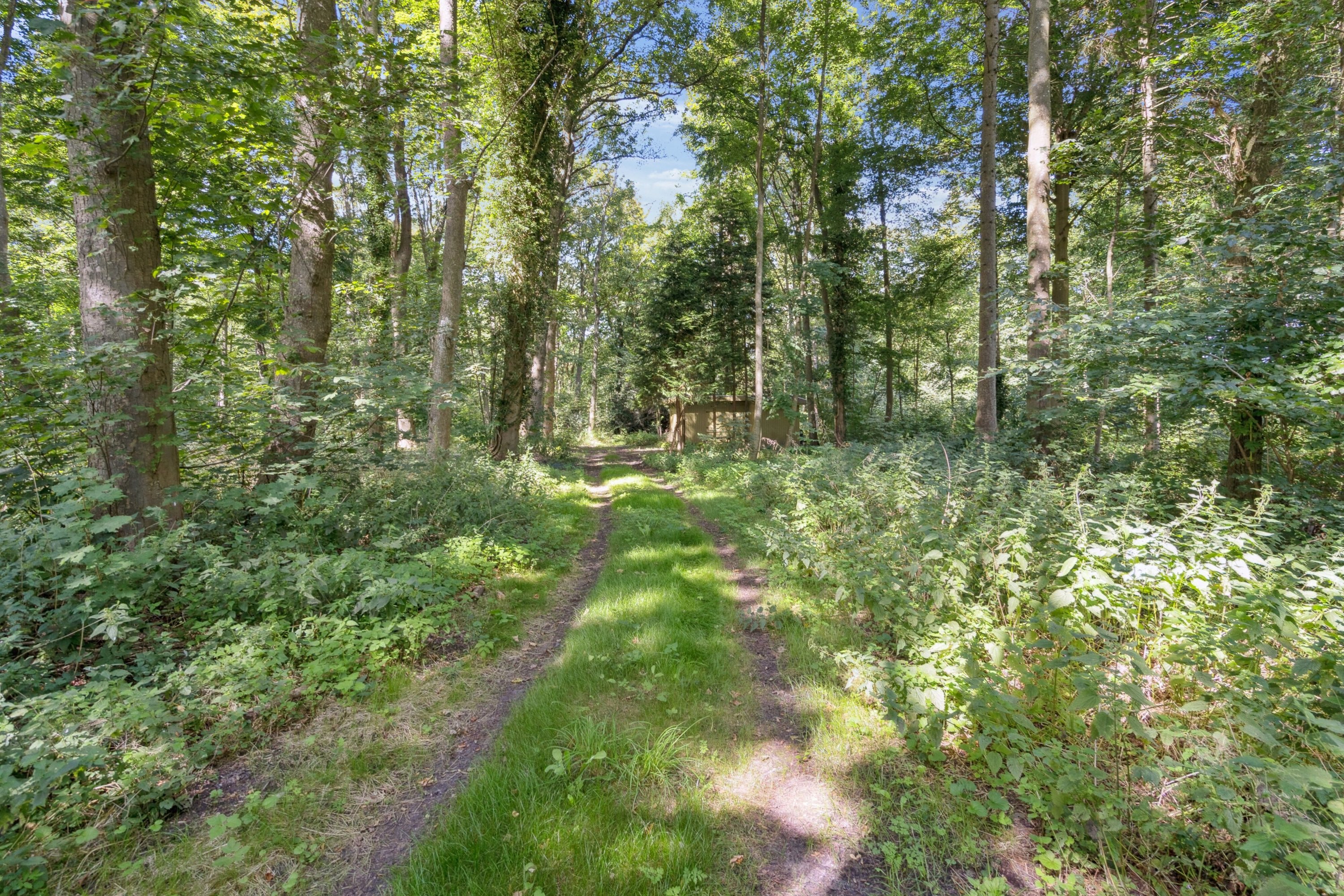 Fremhævet omgivelser billede i fuldskærmstilstand. Billede af Bøgildshøjvej 10, Fangel, 5260 Odense S