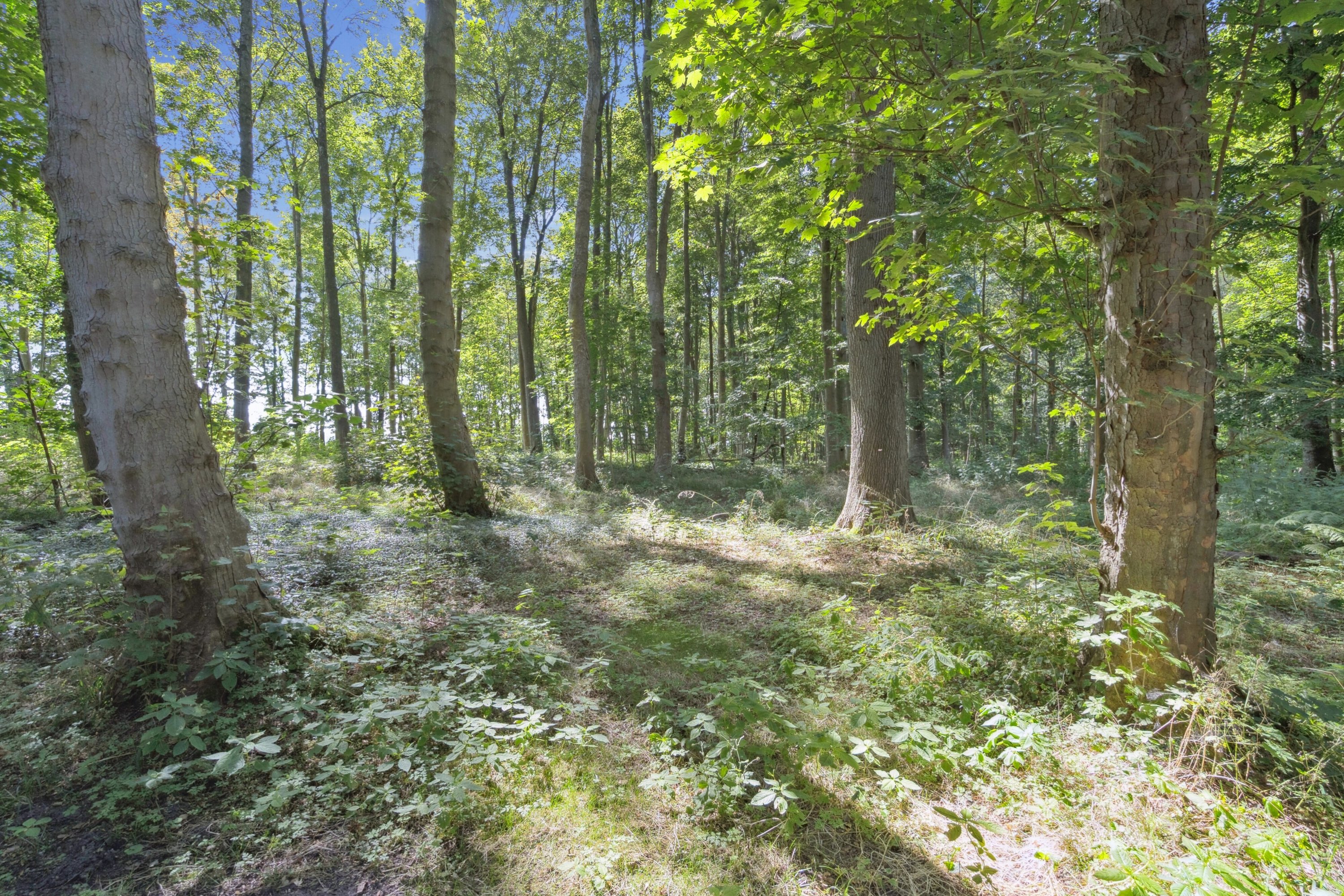 Fremhævet omgivelser billede i fuldskærmstilstand. Billede af Bøgildshøjvej 10, Fangel, 5260 Odense S