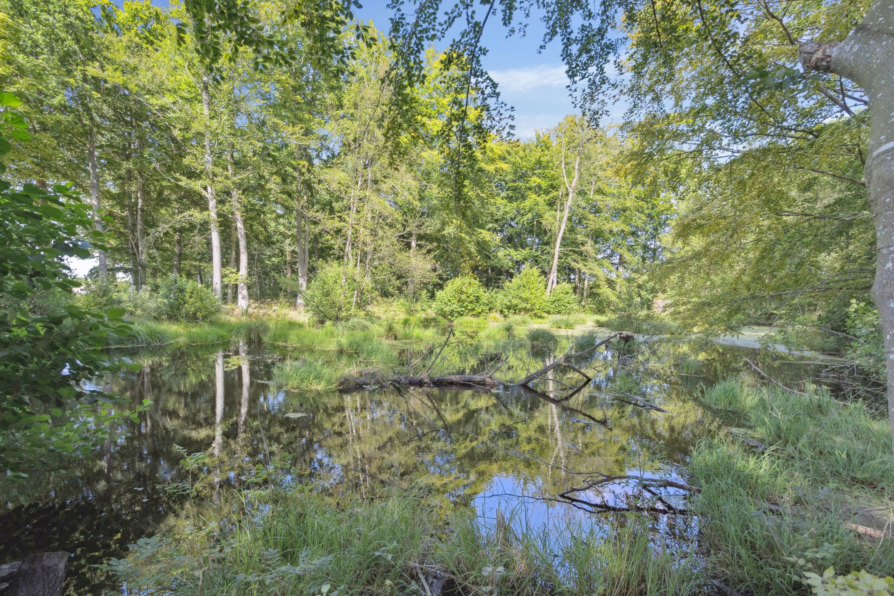 Fremhævet omgivelser billede i fuldskærmstilstand. Billede af Bøgildshøjvej 10, Fangel, 5260 Odense S