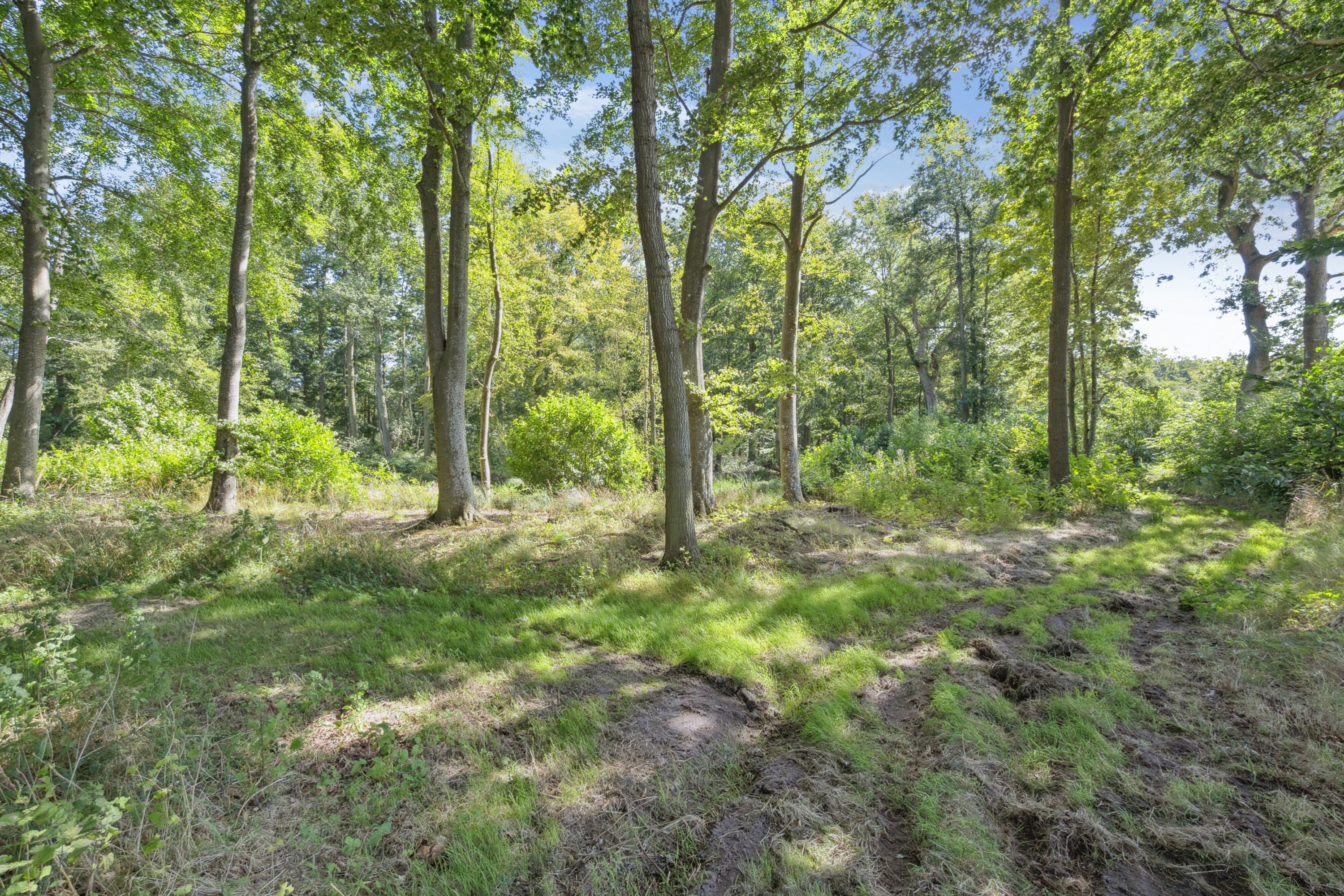 Fremhævet omgivelser billede i fuldskærmstilstand. Billede af Bøgildshøjvej 10, Fangel, 5260 Odense S