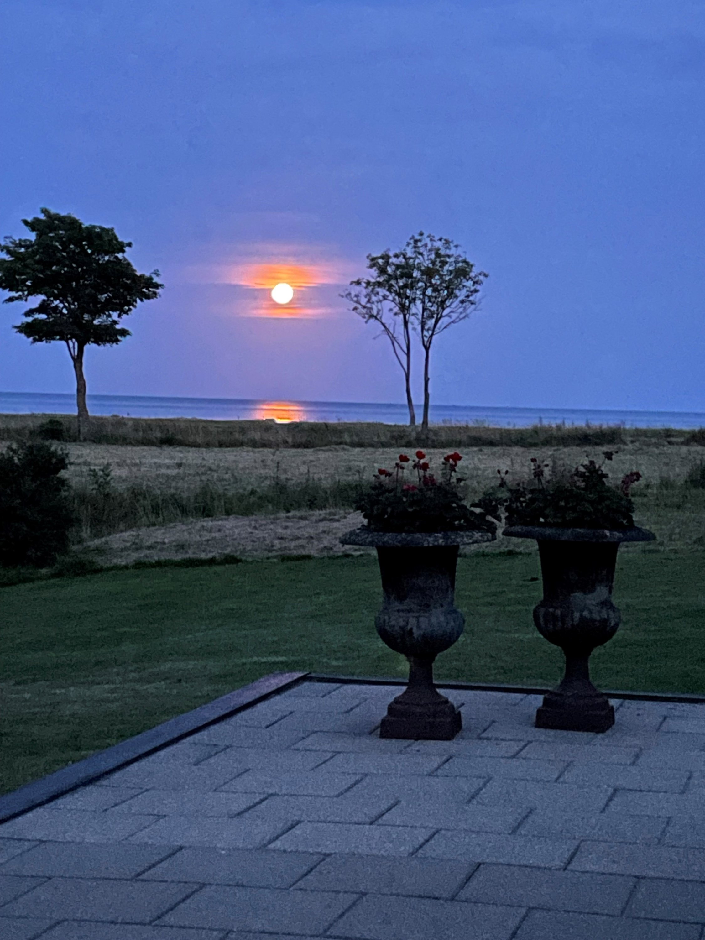 Fremhævet  billede i fuldskærmstilstand. Billede af Østkystvejen 390, Voerså, 9300 Sæby