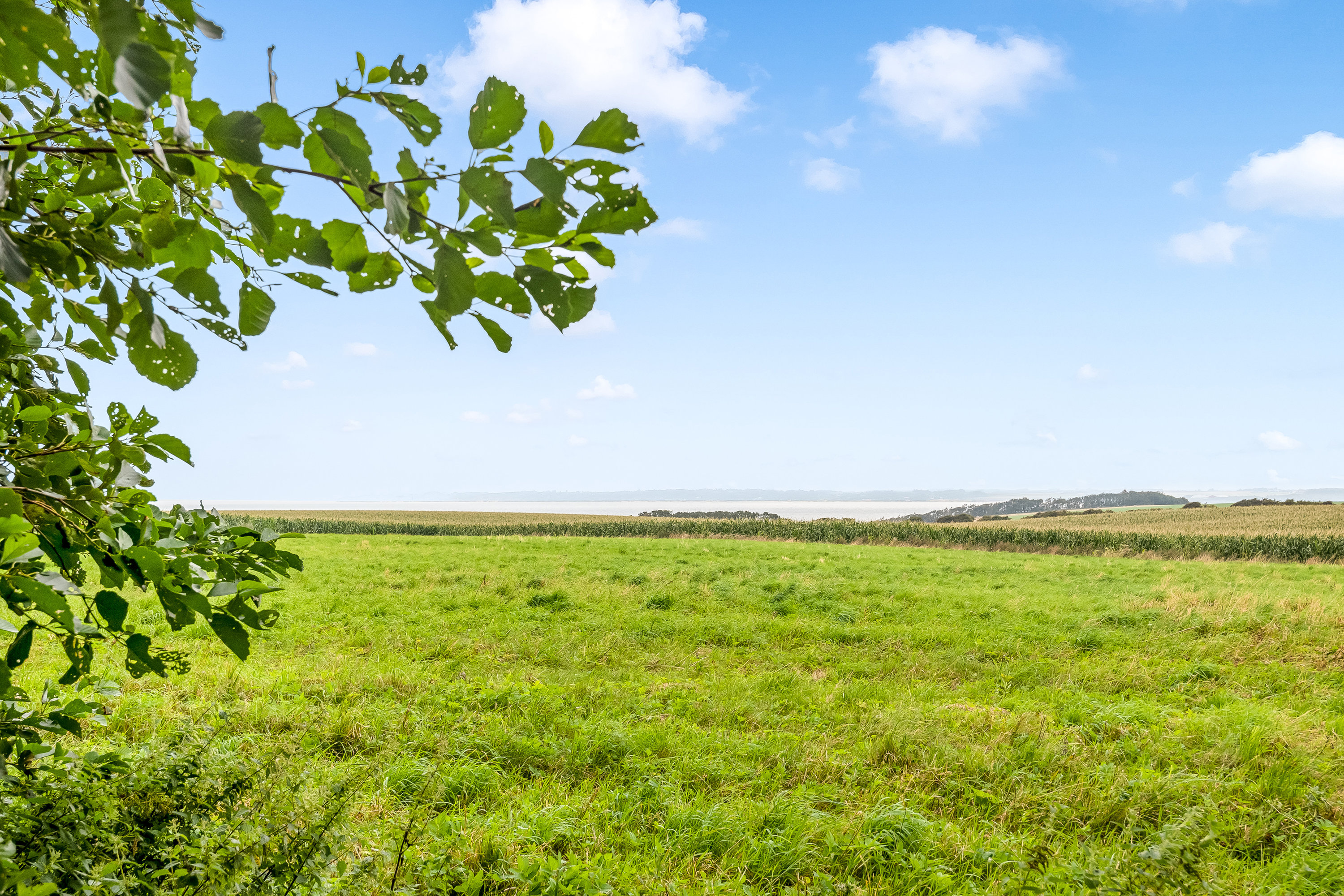Fremhævet udsigt billede i fuldskærmstilstand. Billede af Ejsingholmvej 27, Ejsingholm, 7830 Vinderup