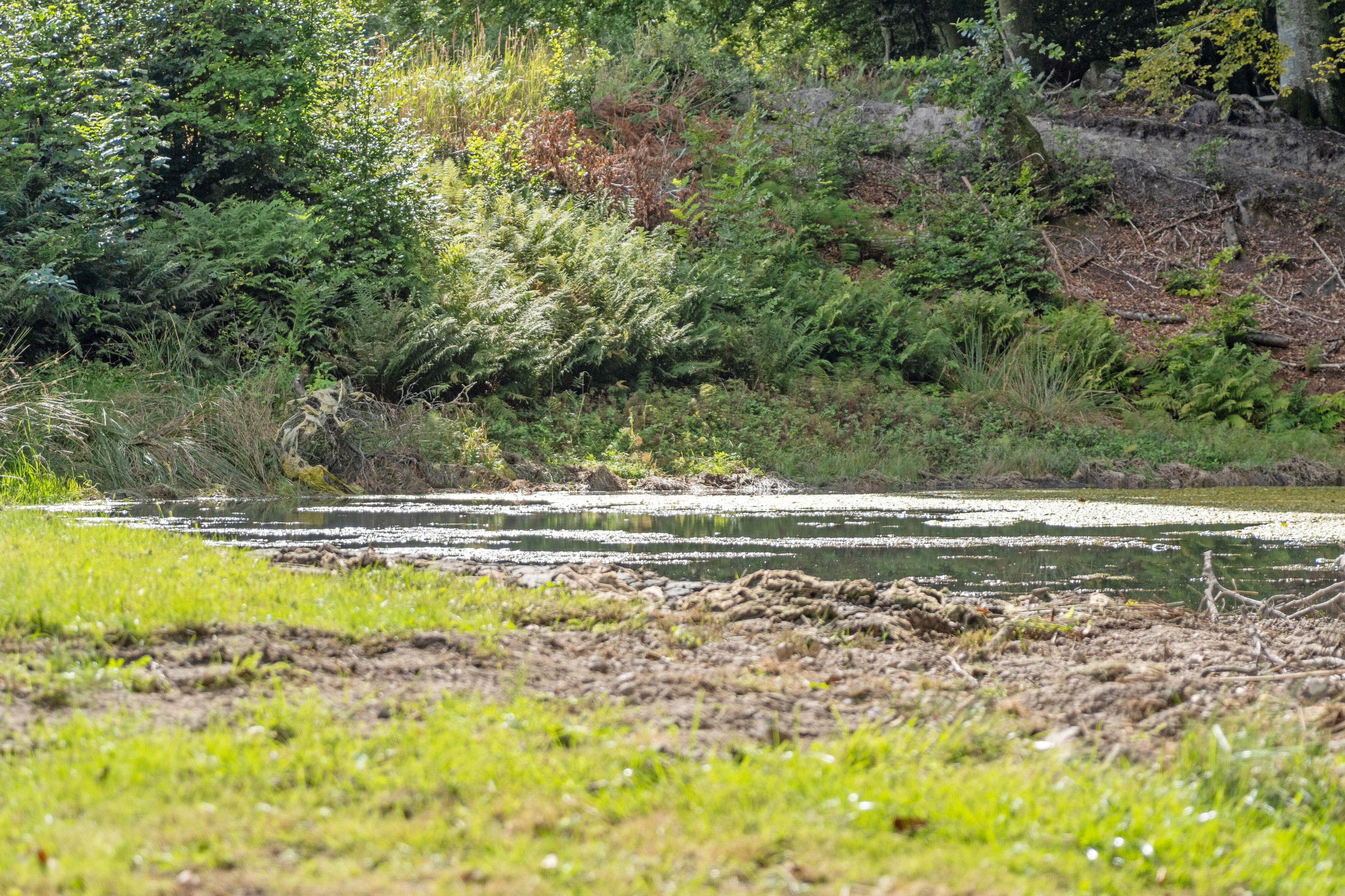 Fremhævet  billede i fuldskærmstilstand. Billede af Føltvedvej 9, Brønden, 9352 Dybvad