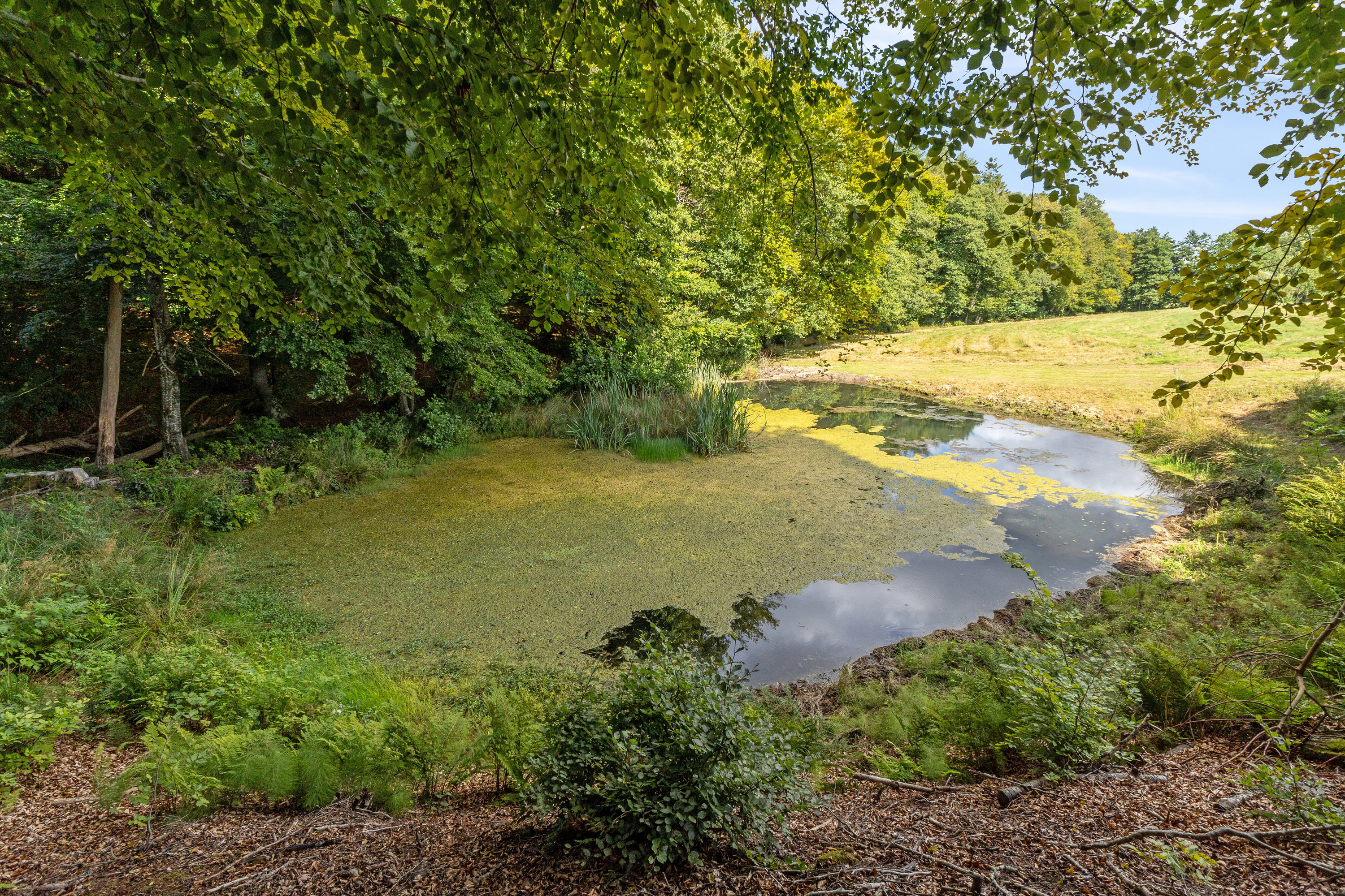 Fremhævet  billede i fuldskærmstilstand. Billede af Føltvedvej 9, Brønden, 9352 Dybvad