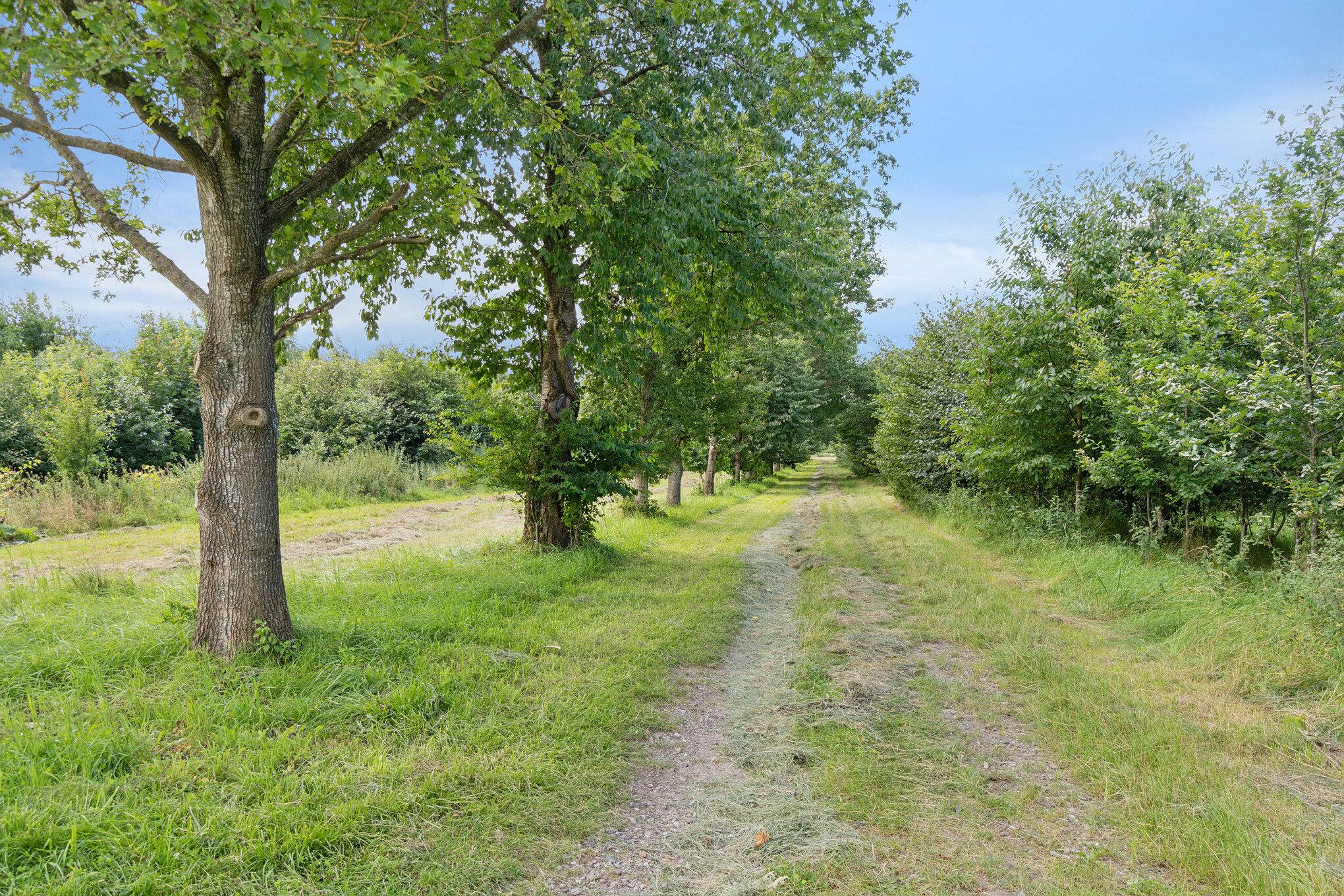 Fremhævet  billede i fuldskærmstilstand. Billede af Allindemaglevej 15, Estrup, 4100 Ringsted