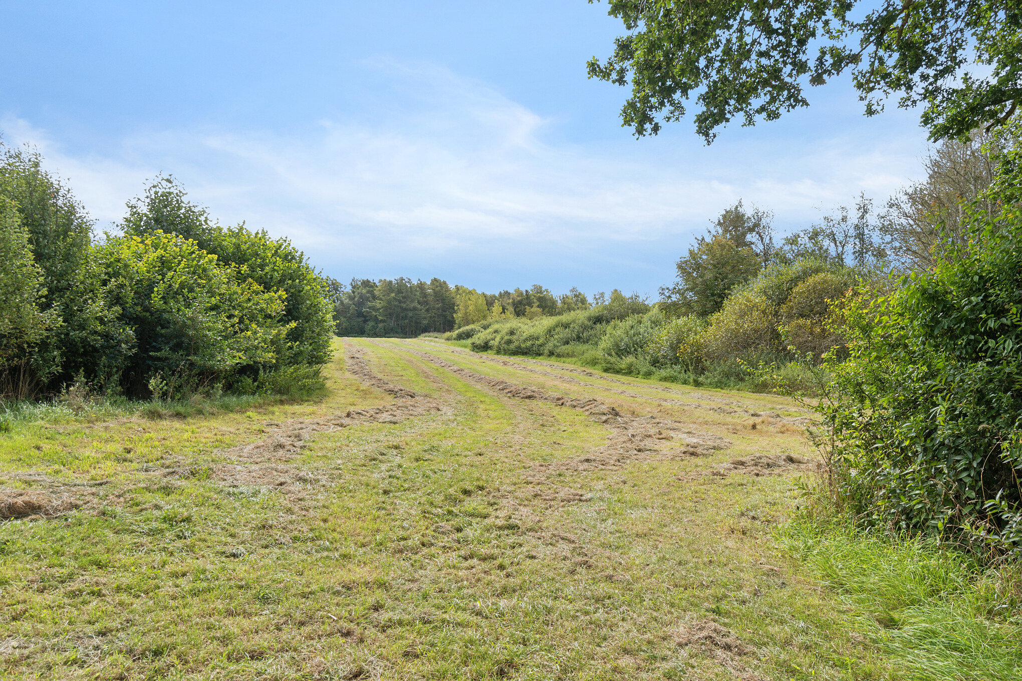 Fremhævet  billede i fuldskærmstilstand. Billede af Allindemaglevej 15, Estrup, 4100 Ringsted