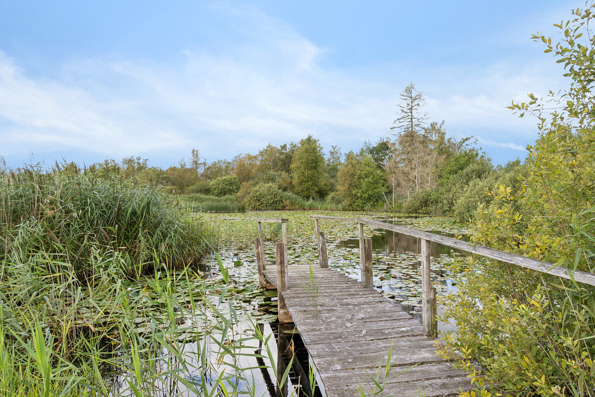 Fremhævet  billede i fuldskærmstilstand. Billede af Allindemaglevej 15, Estrup, 4100 Ringsted