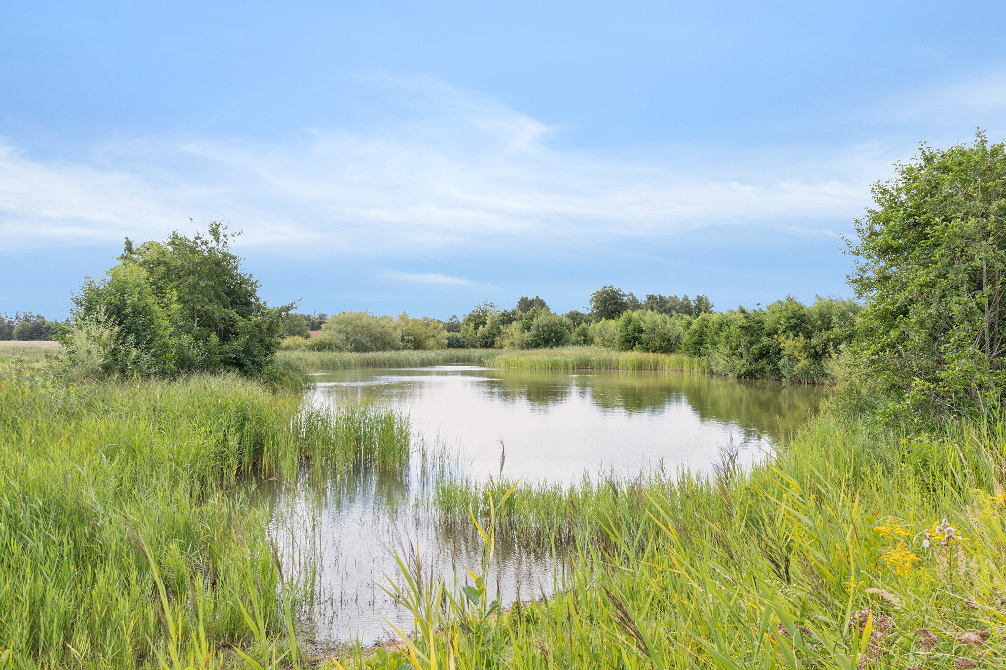 Fremhævet  billede i fuldskærmstilstand. Billede af Allindemaglevej 15, Estrup, 4100 Ringsted