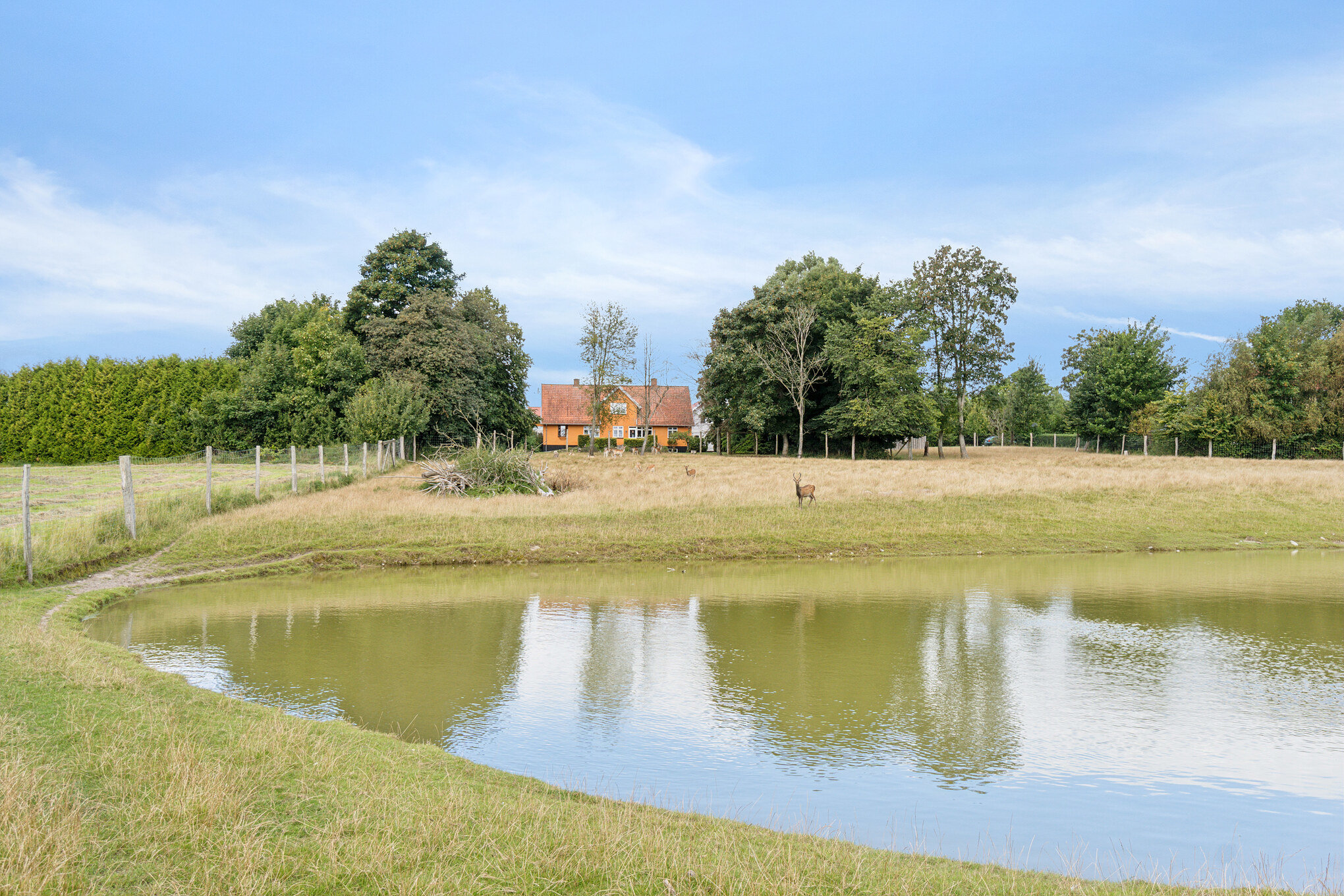 Fremhævet  billede i fuldskærmstilstand. Billede af Allindemaglevej 15, Estrup, 4100 Ringsted