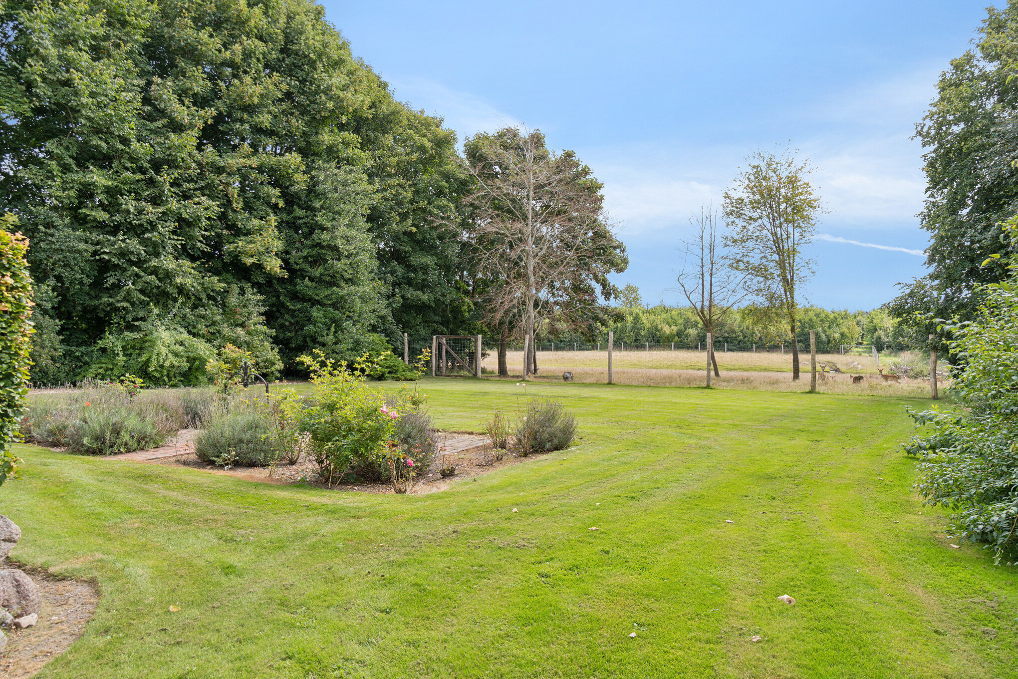 Fremhævet  billede i fuldskærmstilstand. Billede af Allindemaglevej 15, Estrup, 4100 Ringsted