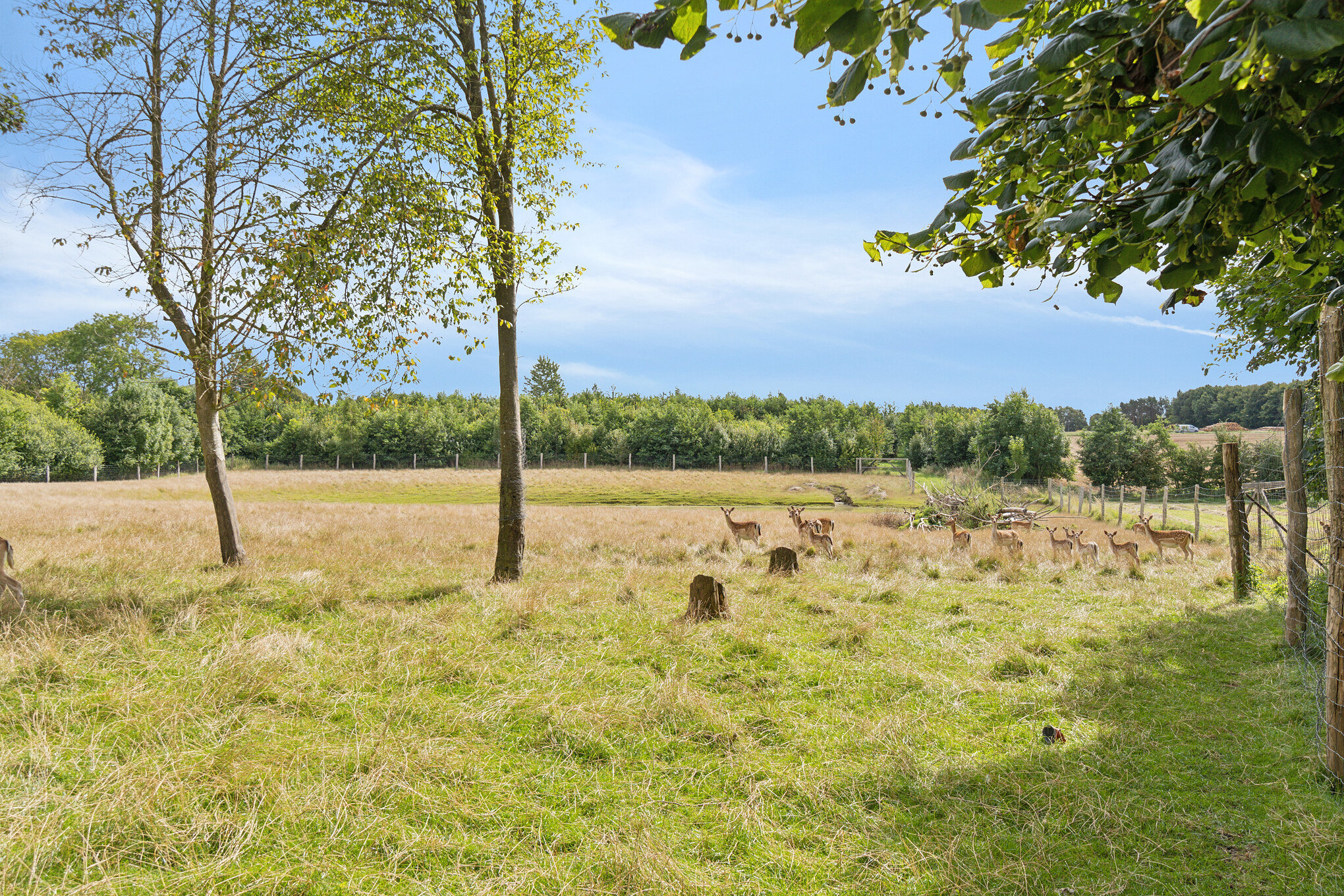 Fremhævet  billede i fuldskærmstilstand. Billede af Allindemaglevej 15, Estrup, 4100 Ringsted