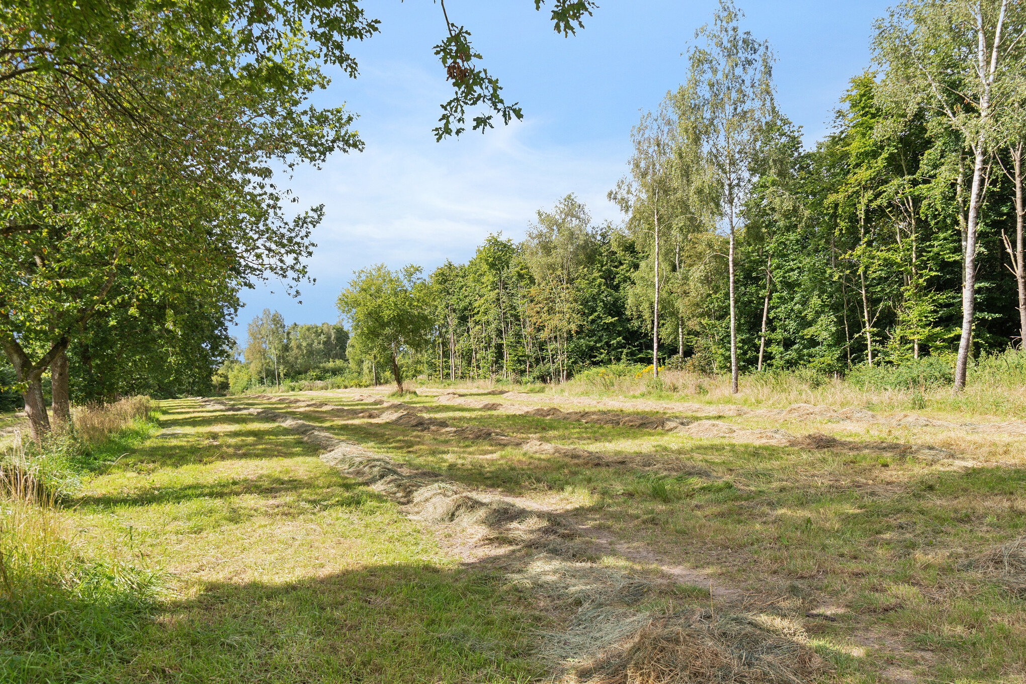 Fremhævet  billede i fuldskærmstilstand. Billede af Allindemaglevej 15, Estrup, 4100 Ringsted