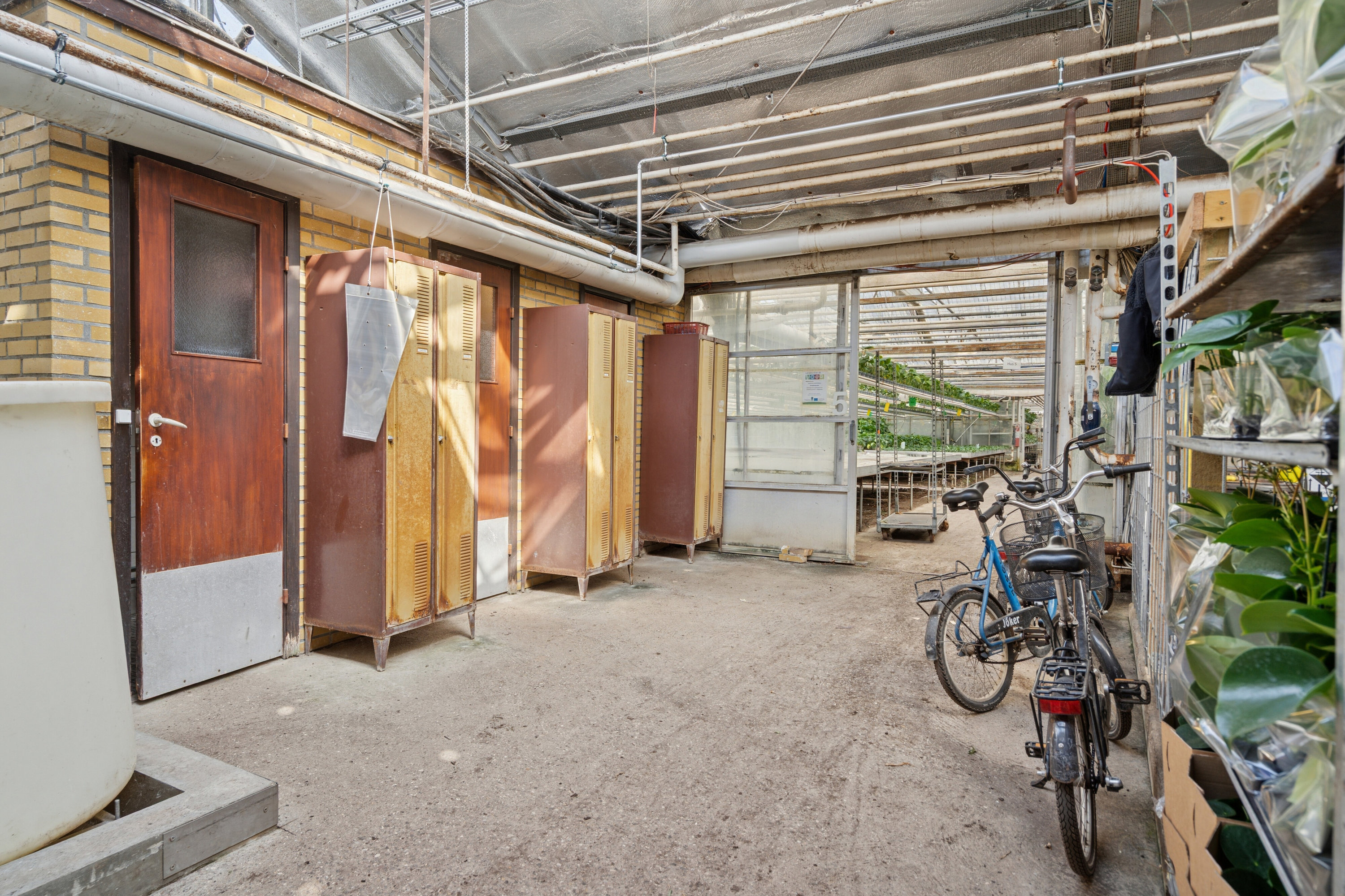 Fremhævet gartneri billede i fuldskærmstilstand. Billede af Neversvej 40, 5690 Tommerup