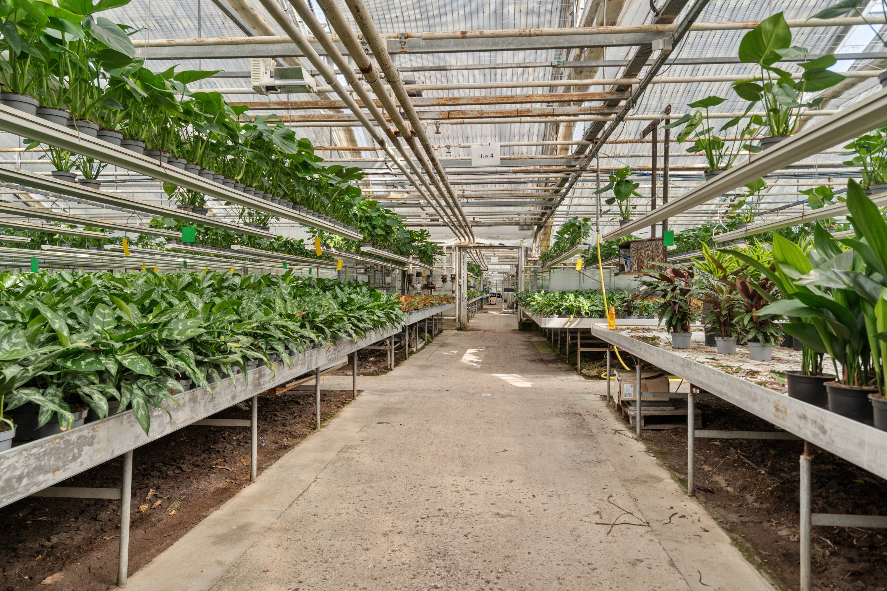 Fremhævet drivhuse billede i fuldskærmstilstand. Billede af Neversvej 40, 5690 Tommerup