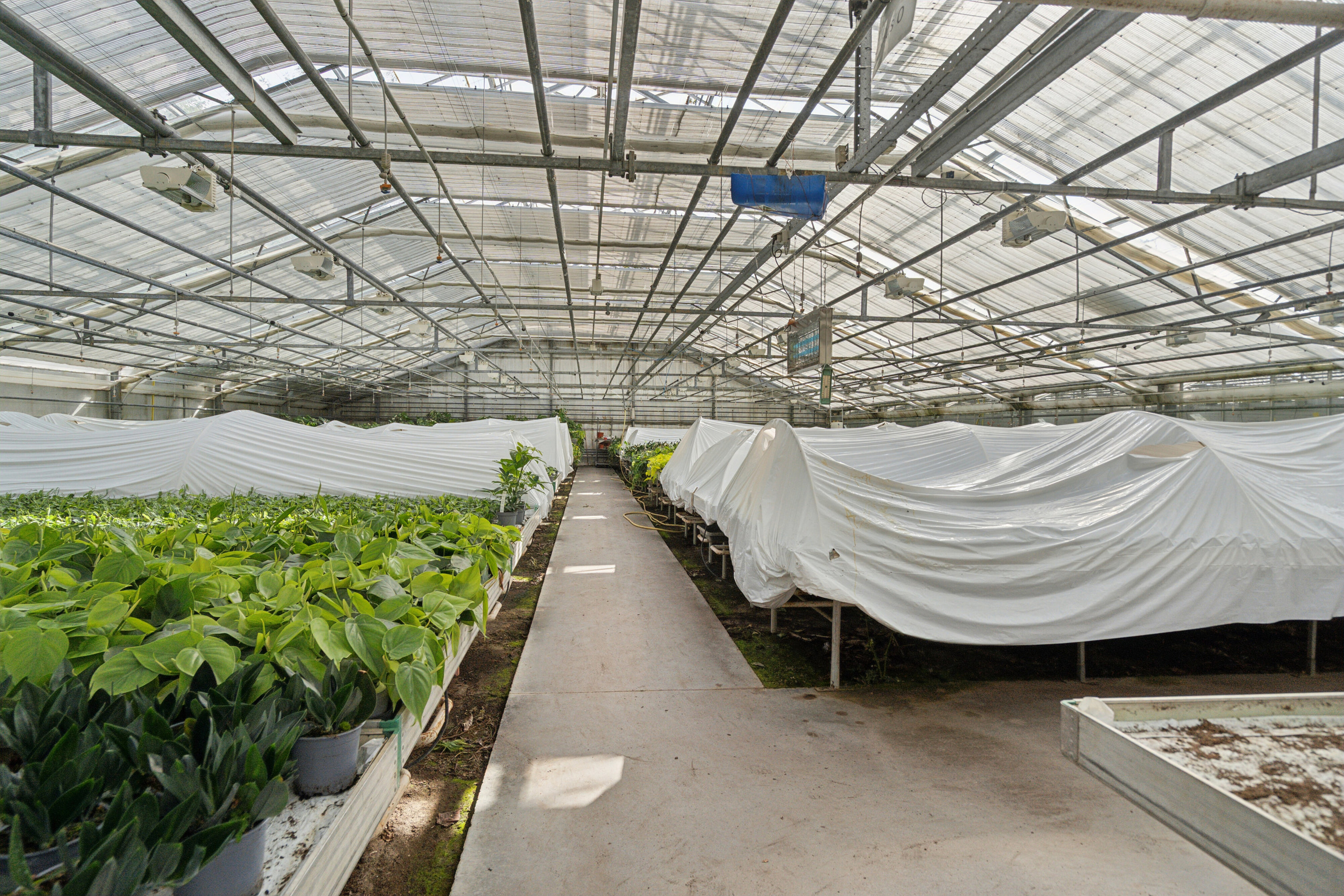 Fremhævet drivhuse billede i fuldskærmstilstand. Billede af Neversvej 40, 5690 Tommerup