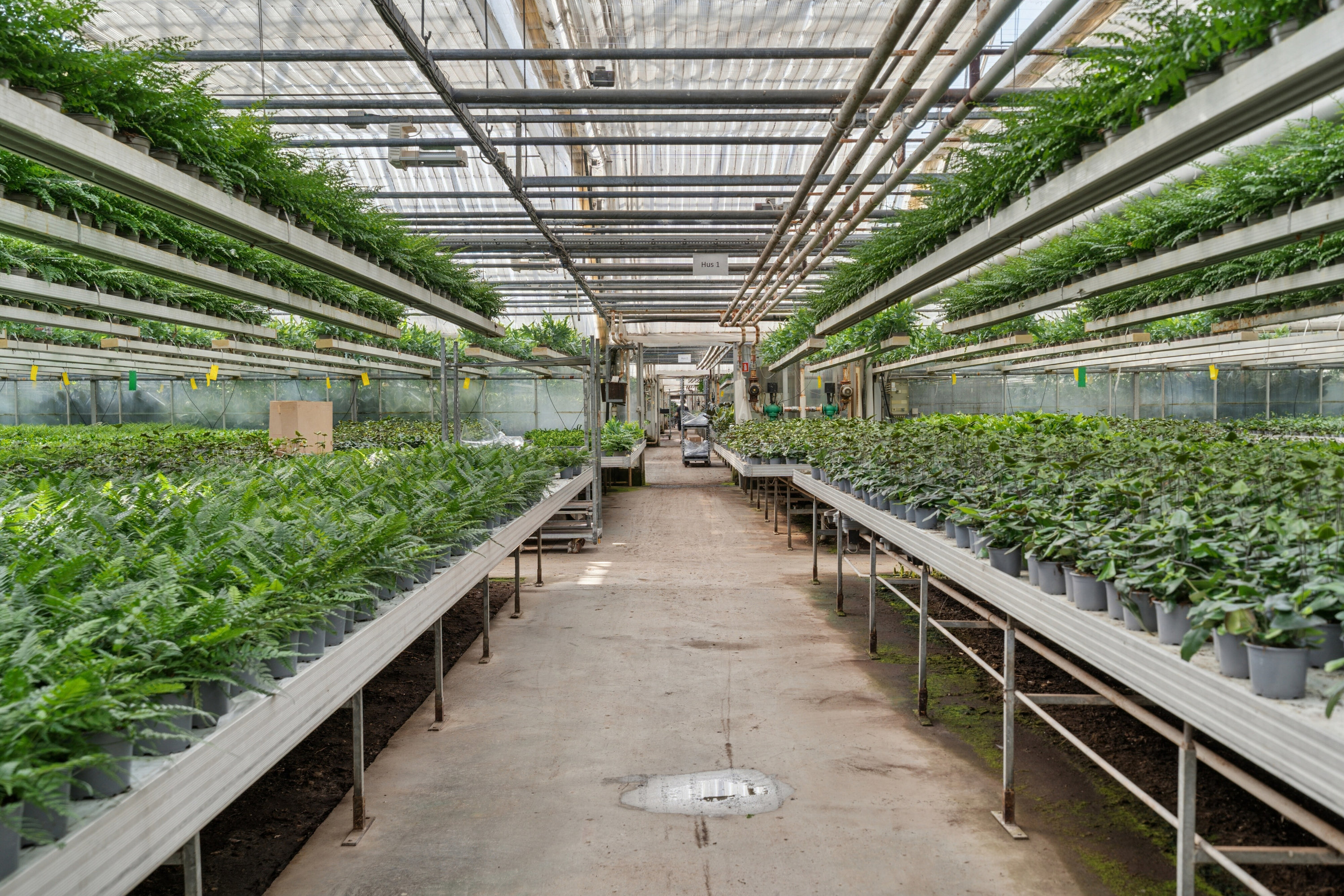 Miniaturebillede 1: drivhuse. Billede af Neversvej 40, 5690 Tommerup