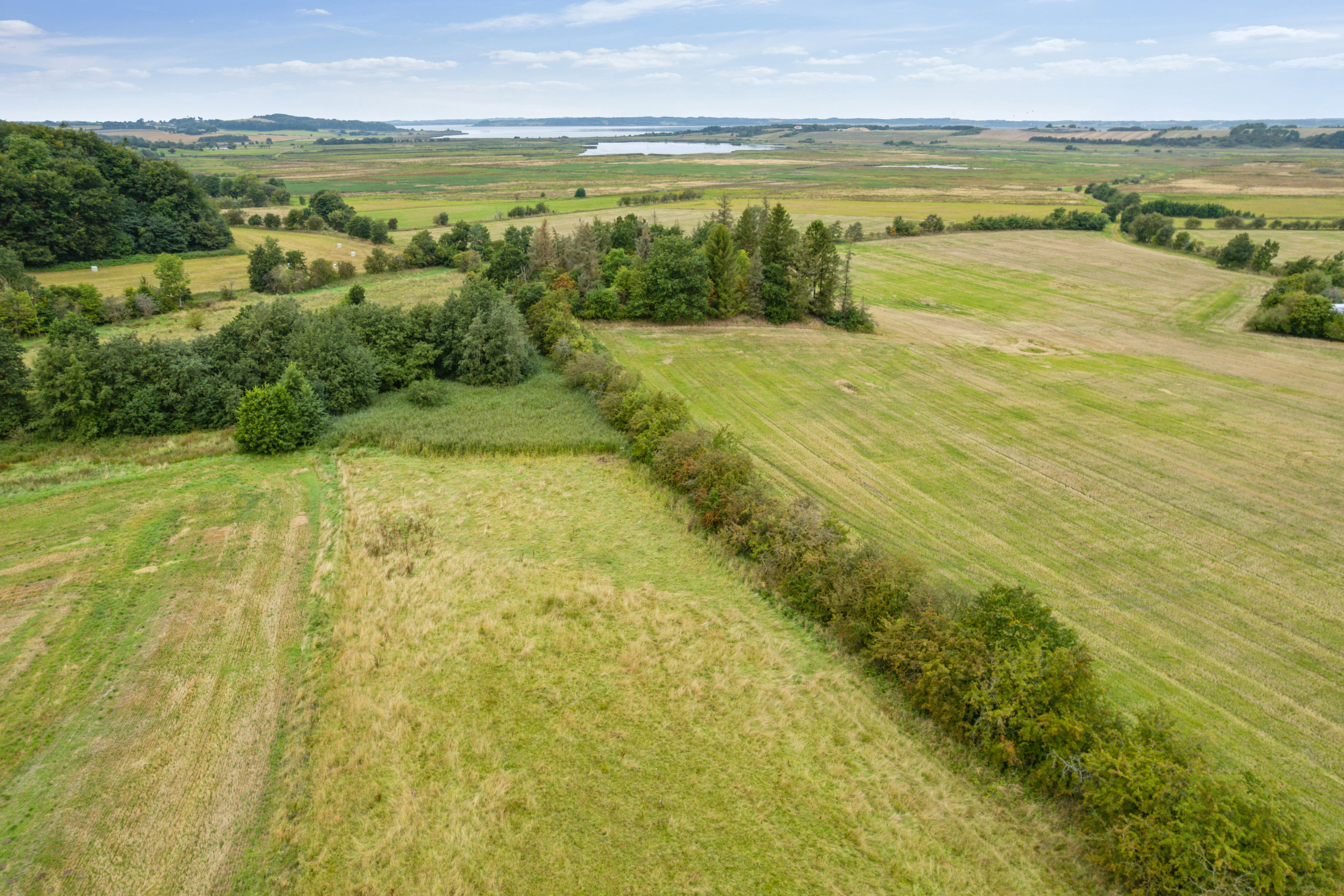 Fremhævet  billede i fuldskærmstilstand. Billede af Løgstørvej 42, 8831 Løgstrup