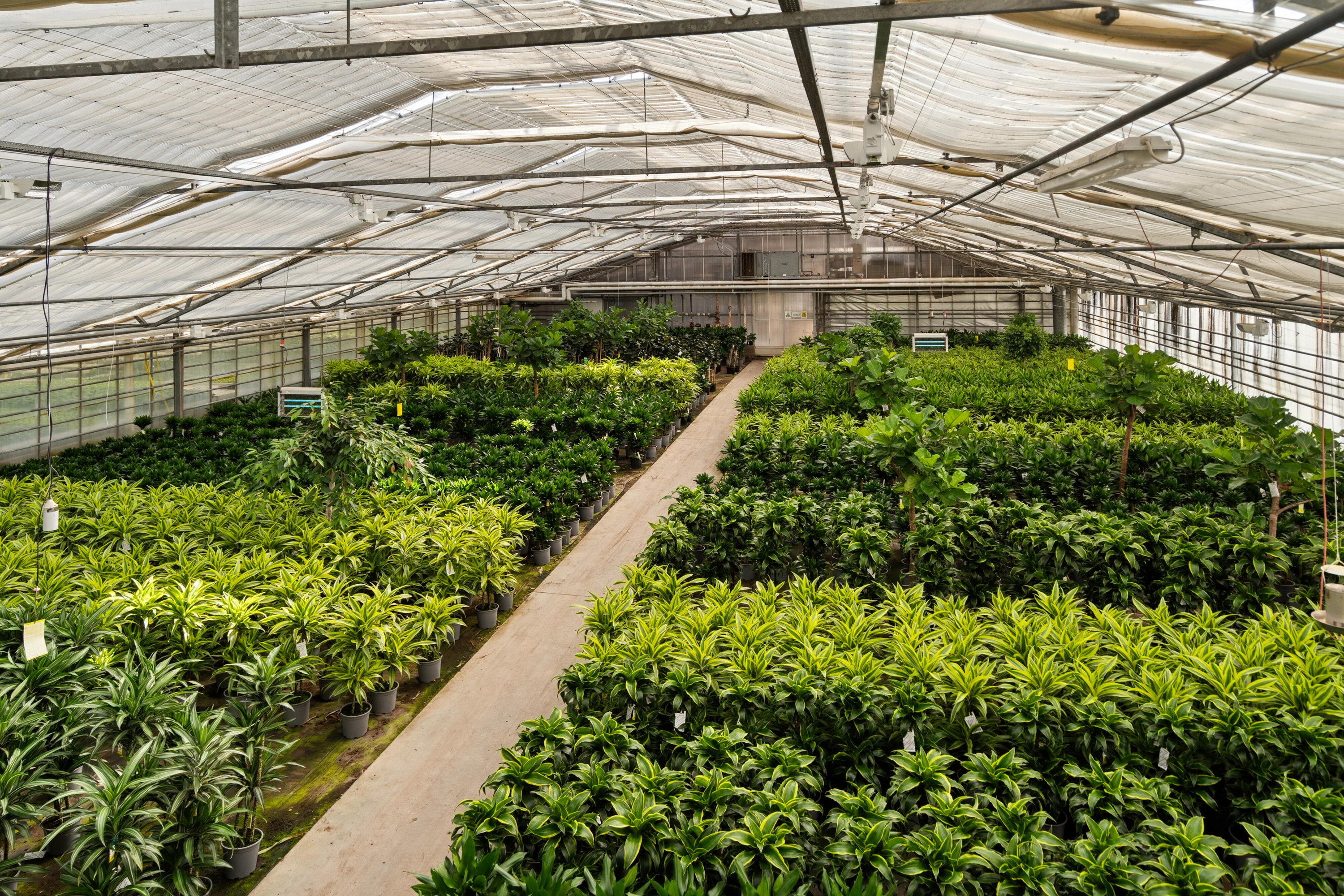 Fremhævet drivhuse - plasthus billede i fuldskærmstilstand. Billede af Neversvej 40, 5690 Tommerup