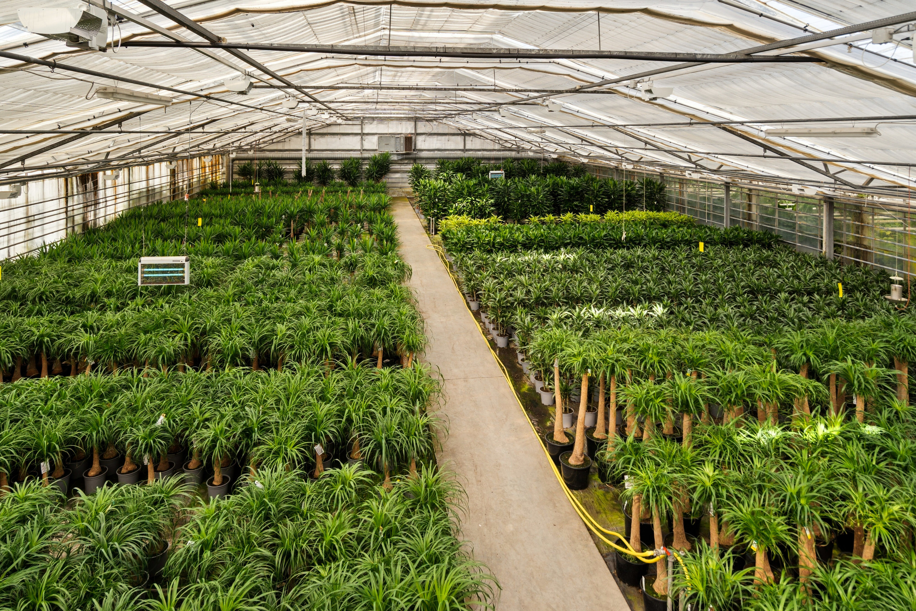 Fremhævet drivhuse - plasthus billede i fuldskærmstilstand. Billede af Neversvej 40, 5690 Tommerup