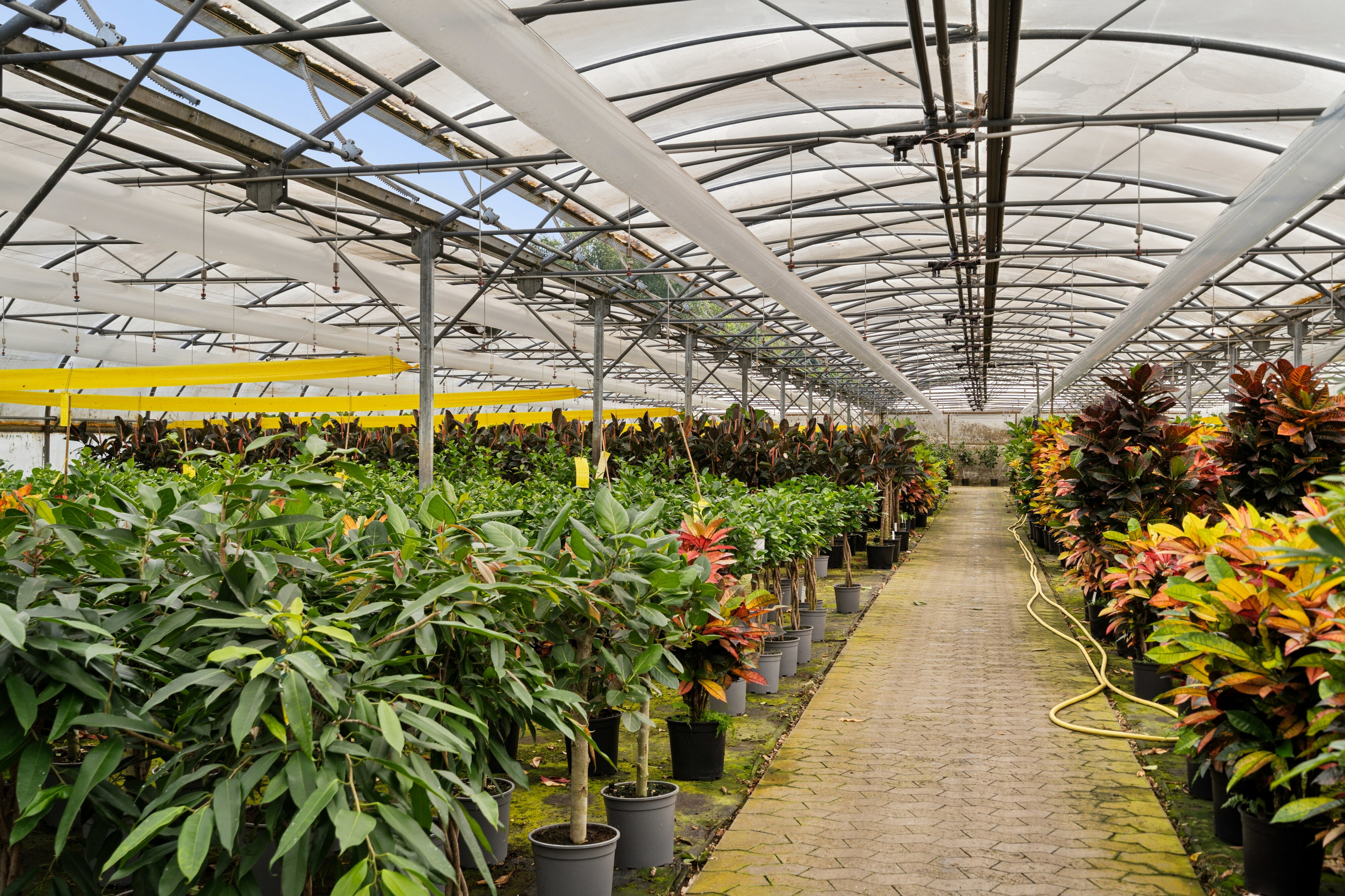 Fremhævet drivhuse - plasthus billede i fuldskærmstilstand. Billede af Neversvej 40, 5690 Tommerup