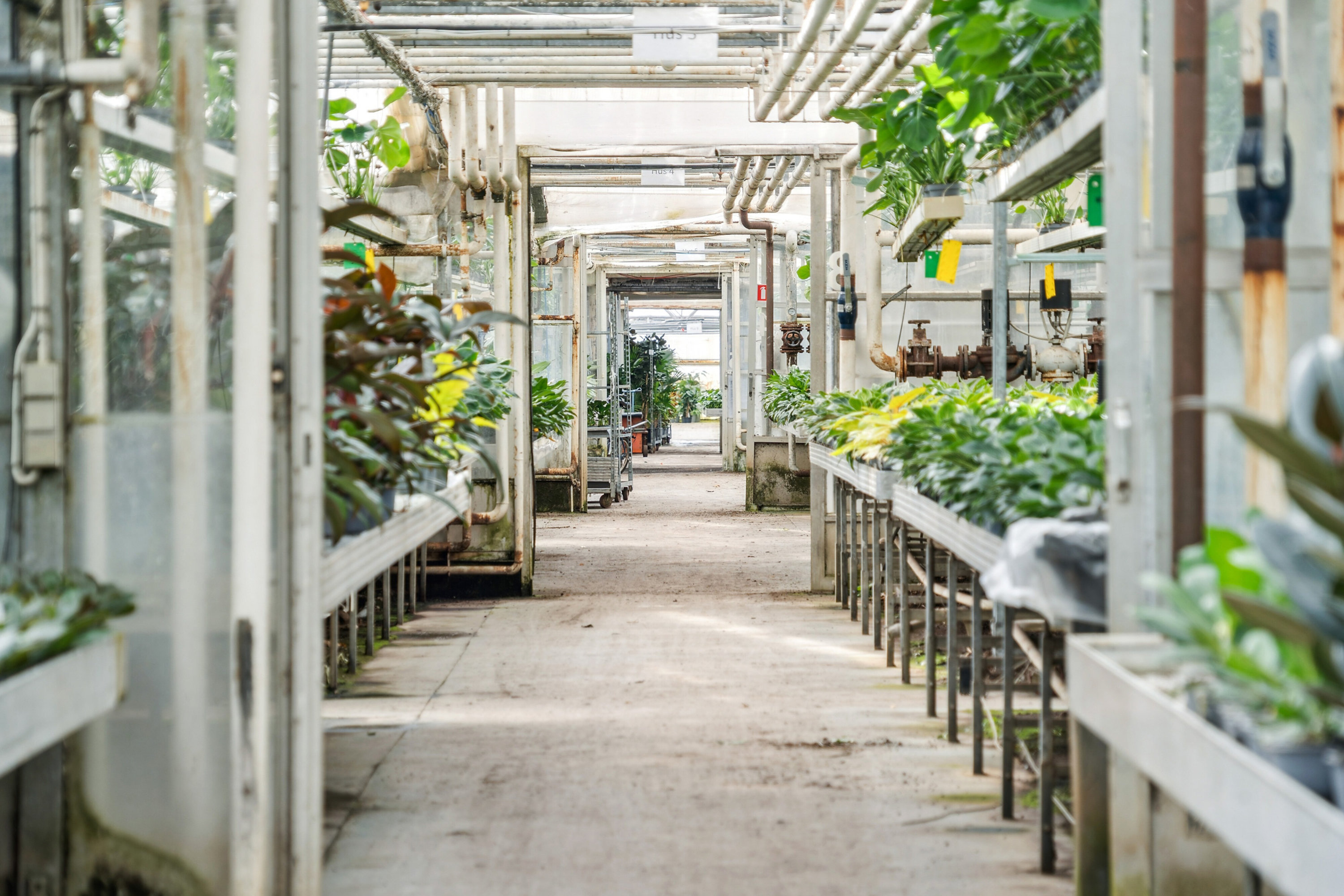 Fremhævet drivhus billede i fuldskærmstilstand. Billede af Neversvej 40, 5690 Tommerup