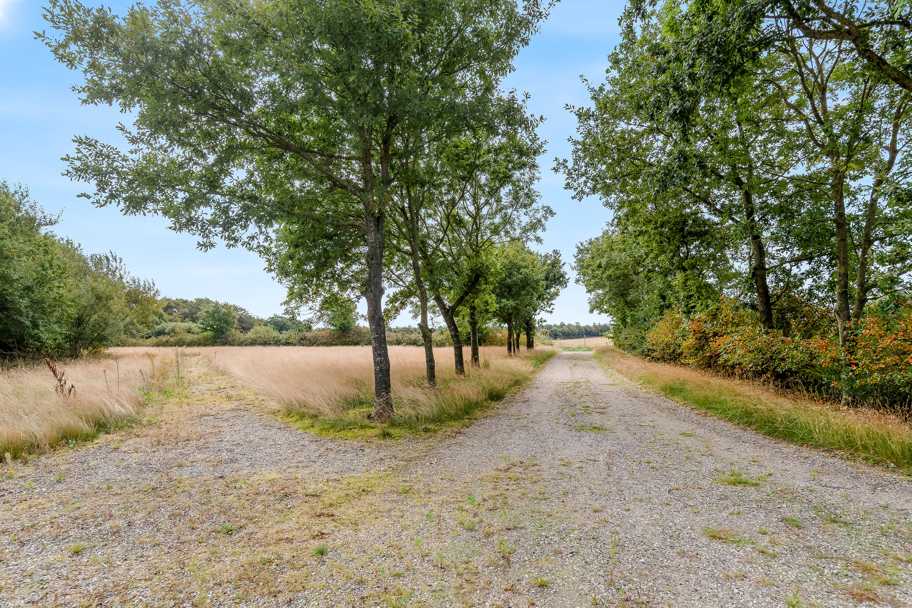 Fremhævet  billede i fuldskærmstilstand. Billede af Sdr Svenstrupvej 3, del af, Bjert, 7830 Vinderup