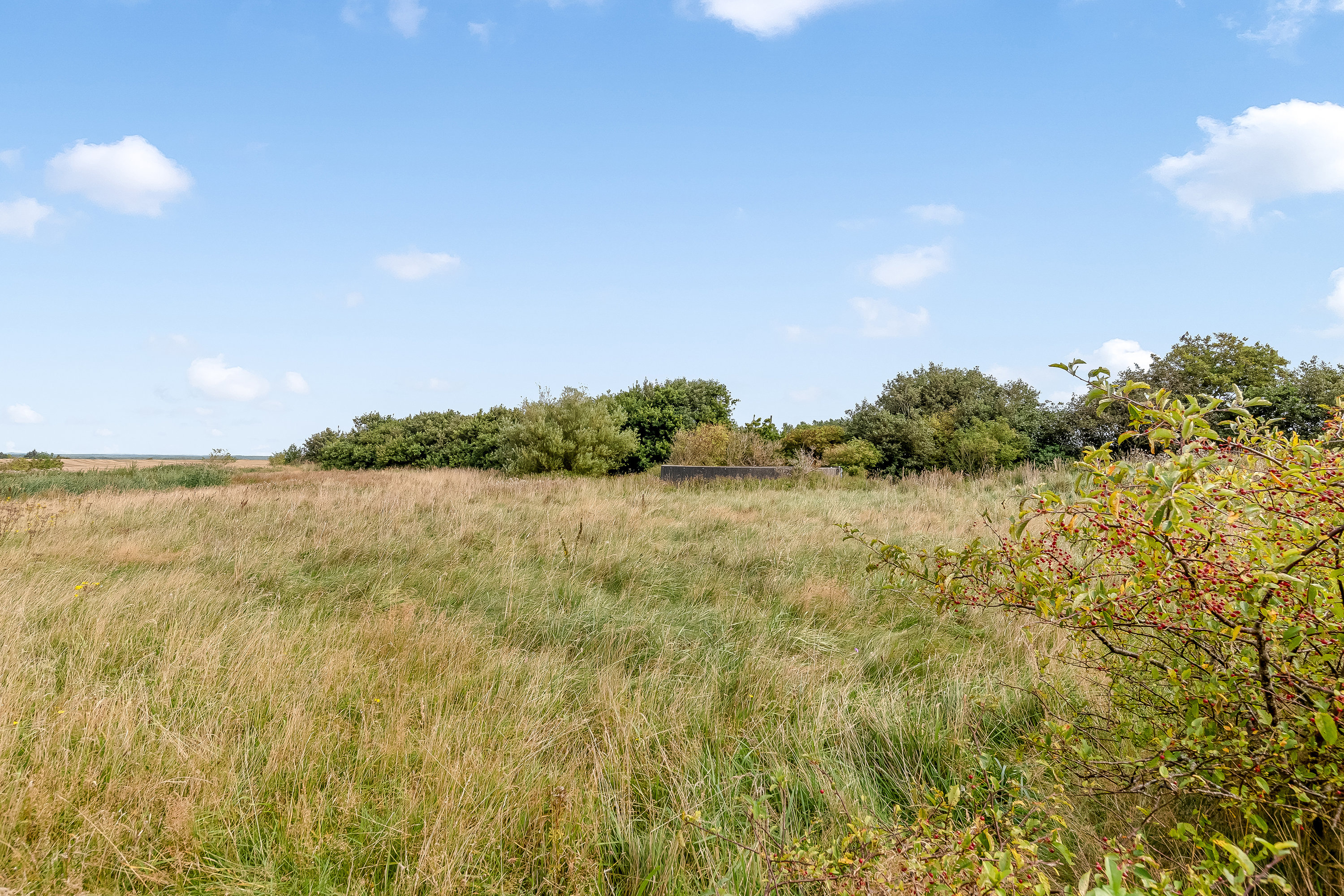 Fremhævet  billede i fuldskærmstilstand. Billede af Sdr Svenstrupvej 3, del af, Bjert, 7830 Vinderup