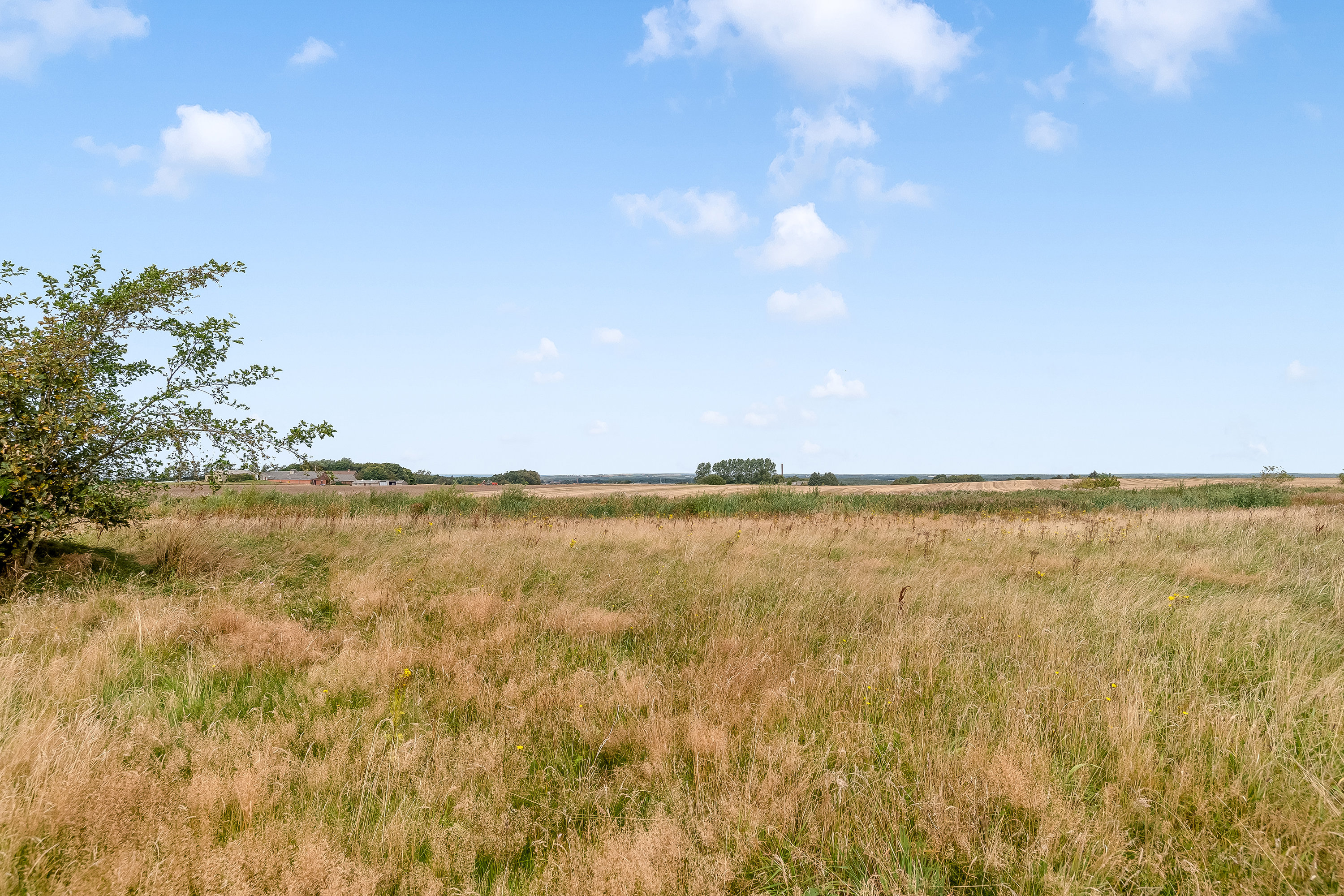 Fremhævet  billede i fuldskærmstilstand. Billede af Sdr Svenstrupvej 3, del af, Bjert, 7830 Vinderup