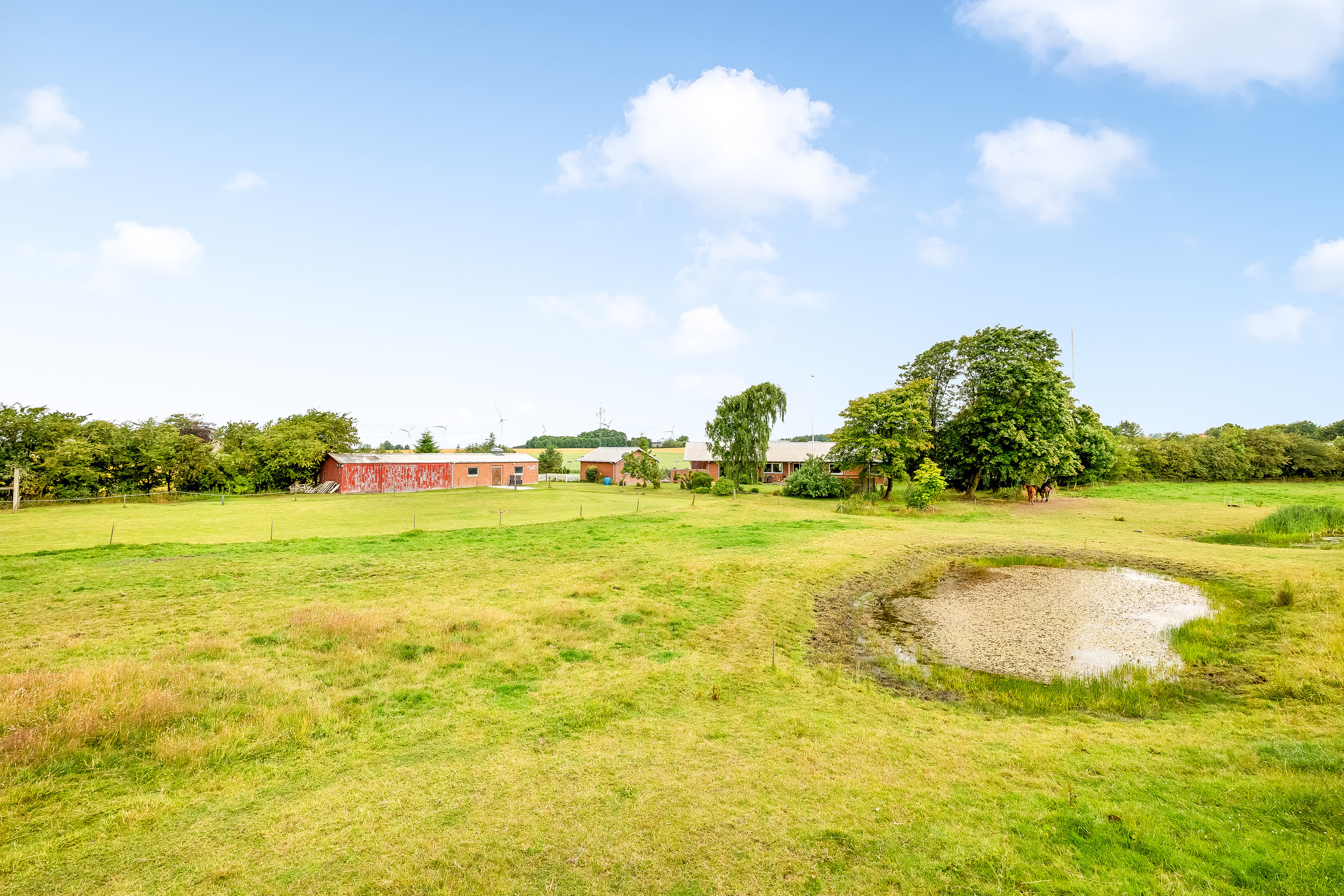 Fremhævet hestefold billede i fuldskærmstilstand. Billede af Del af Mosebyvej 34, 7500 Holstebro