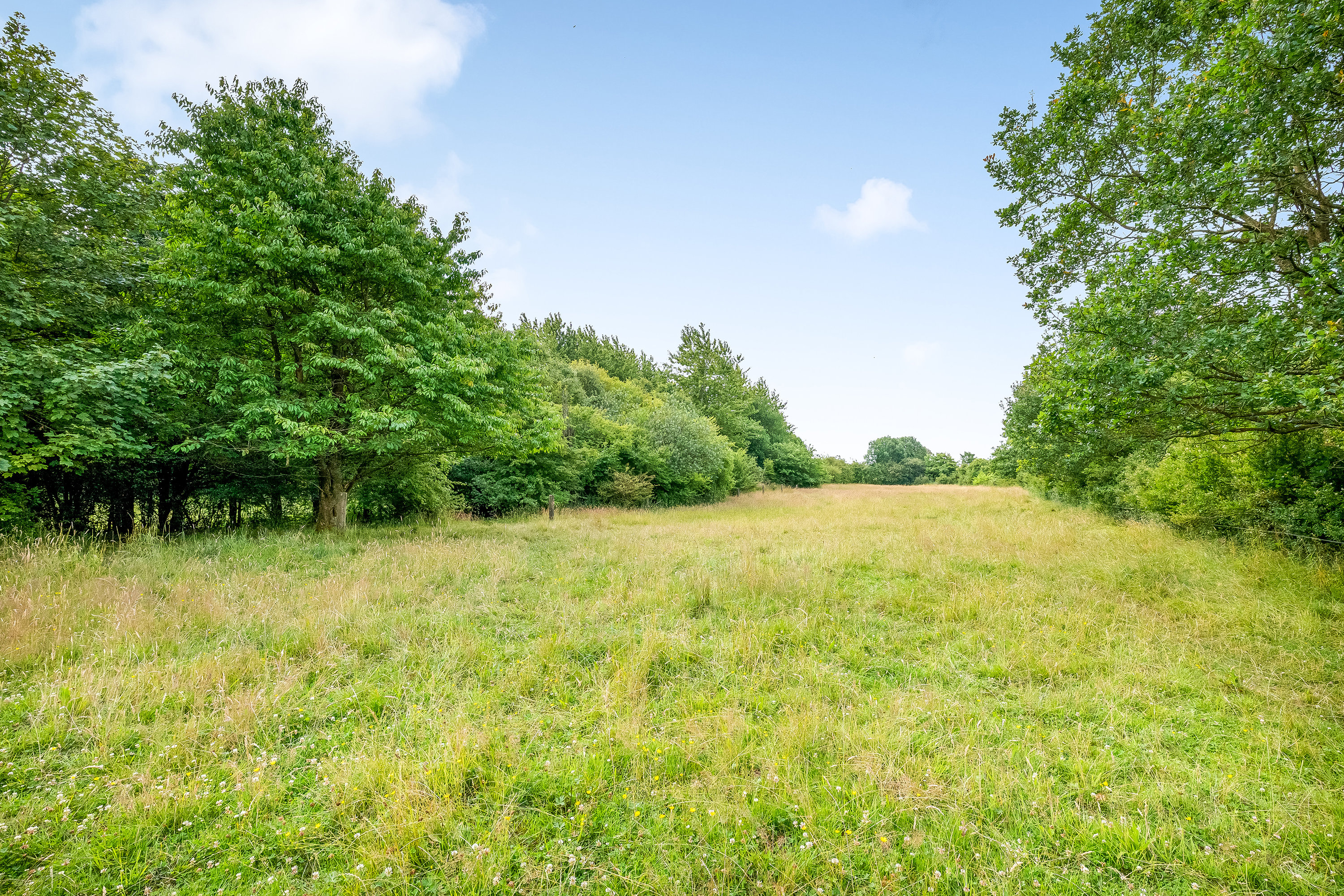 Fremhævet hestefold billede i fuldskærmstilstand. Billede af Del af Mosebyvej 34, 7500 Holstebro