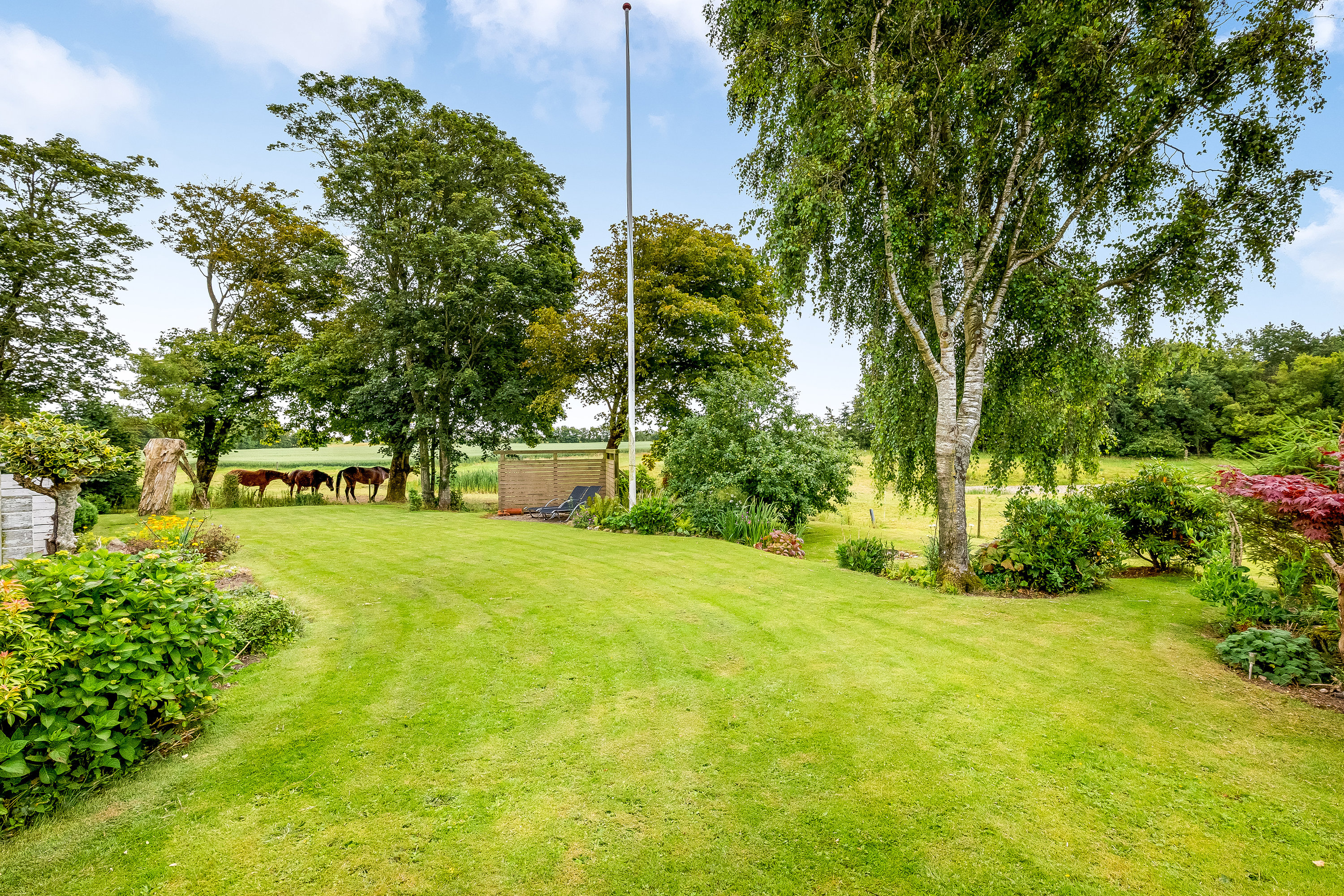 Fremhævet have billede i fuldskærmstilstand. Billede af Del af Mosebyvej 34, 7500 Holstebro