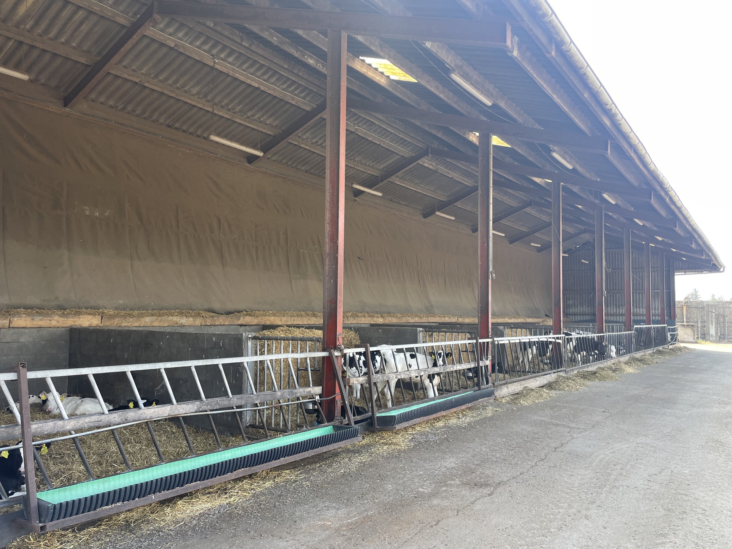 Fremhævet kalvestald billede i fuldskærmstilstand. Billede af Åbølvej 16, 6372 Bylderup-Bov