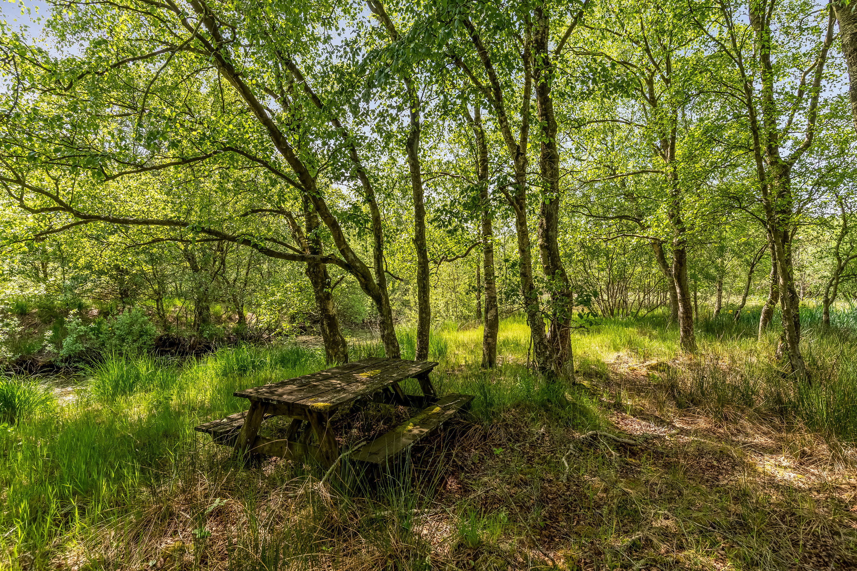 Fremhævet jordtilliggende billede i fuldskærmstilstand. Billede af Birkemosevej 10 Udstykning, Karstoft, 6933 Kibæk