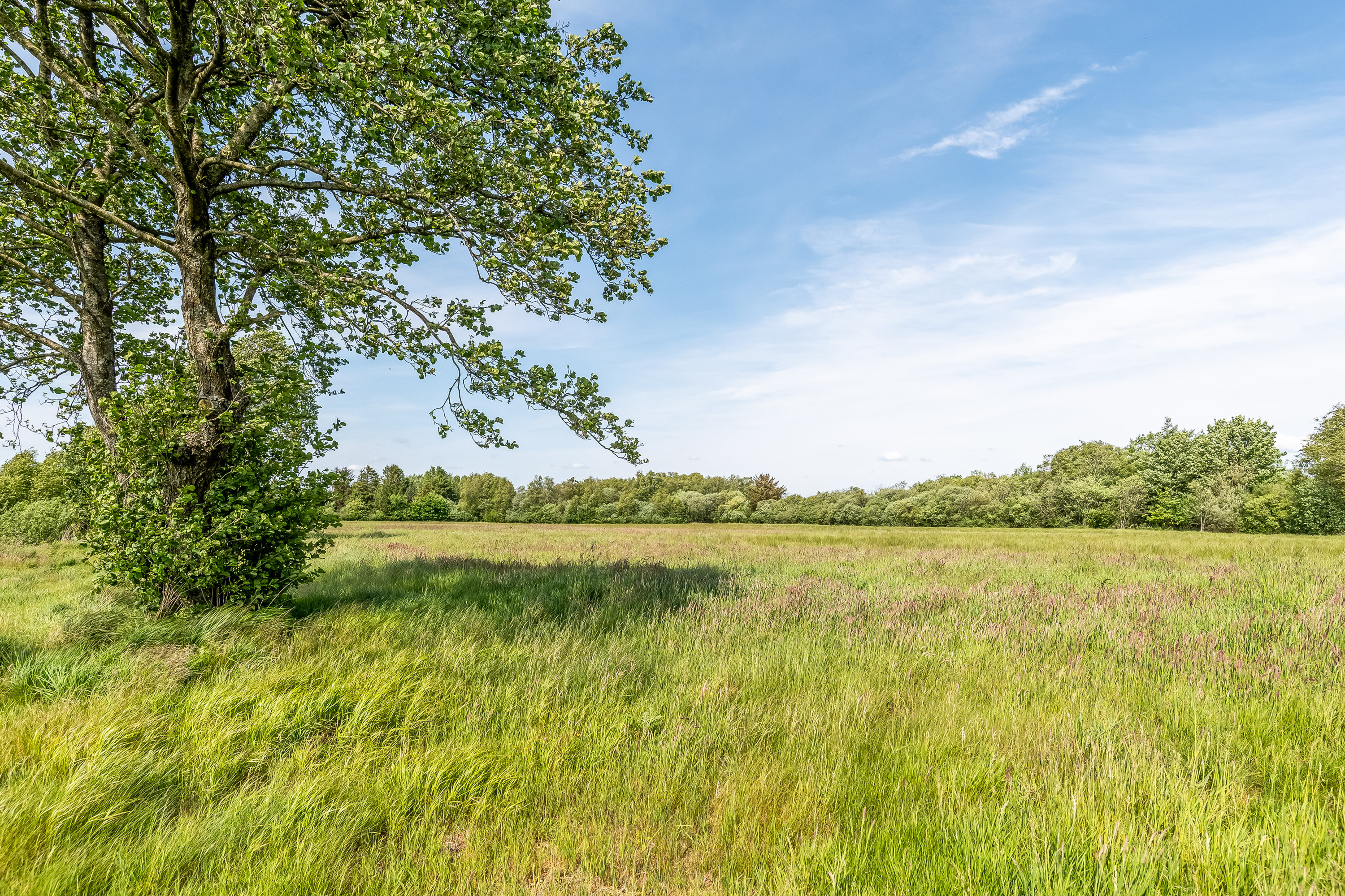Fremhævet jordtilliggende billede i fuldskærmstilstand. Billede af Birkemosevej 10 Udstykning, Karstoft, 6933 Kibæk