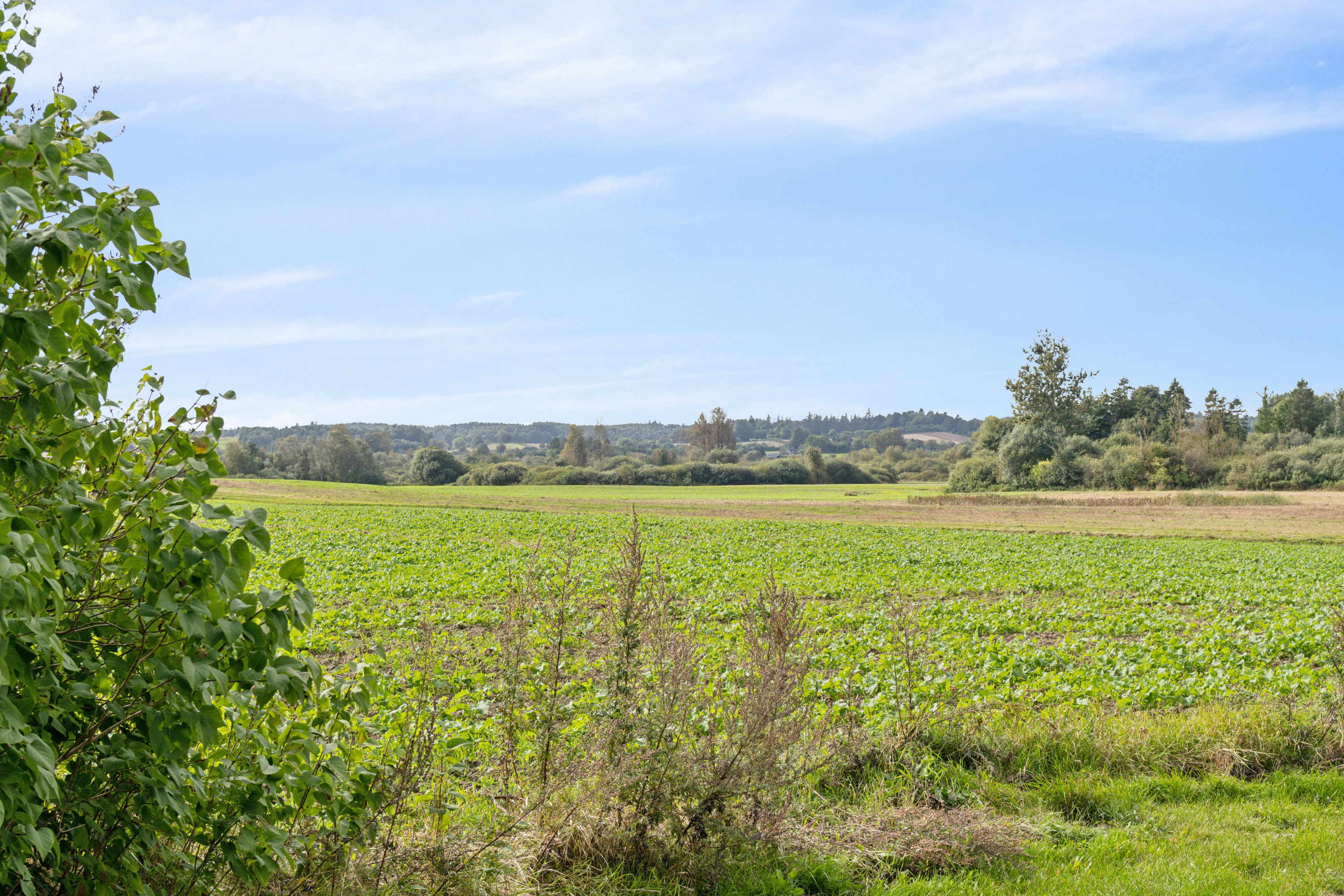 Fremhævet kig til mark billede i fuldskærmstilstand. Billede af Toftevej 8, V Hæsinge, 5672 Broby