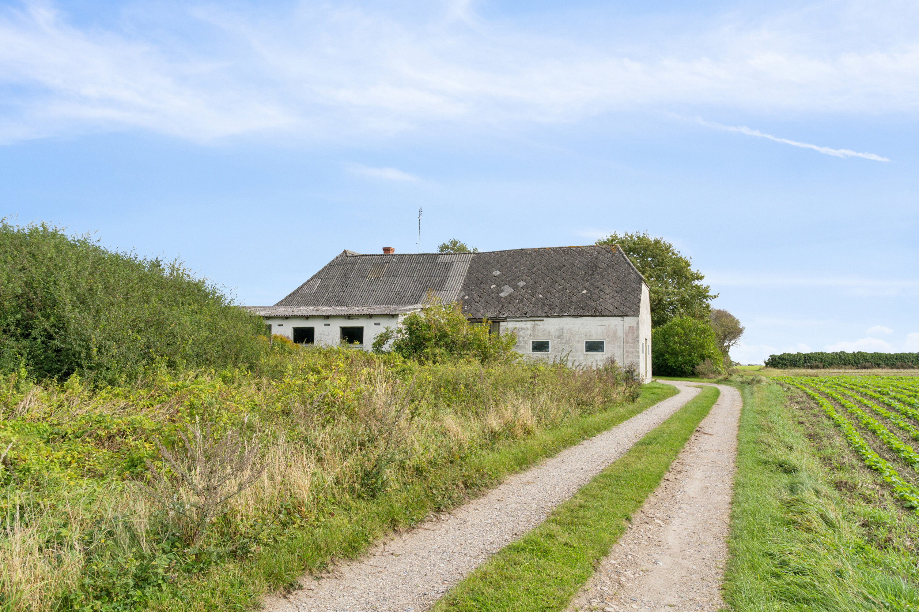 Fremhævet set fra indkørslen til ejendommen billede i fuldskærmstilstand. Billede af Toftevej 8, V Hæsinge, 5672 Broby