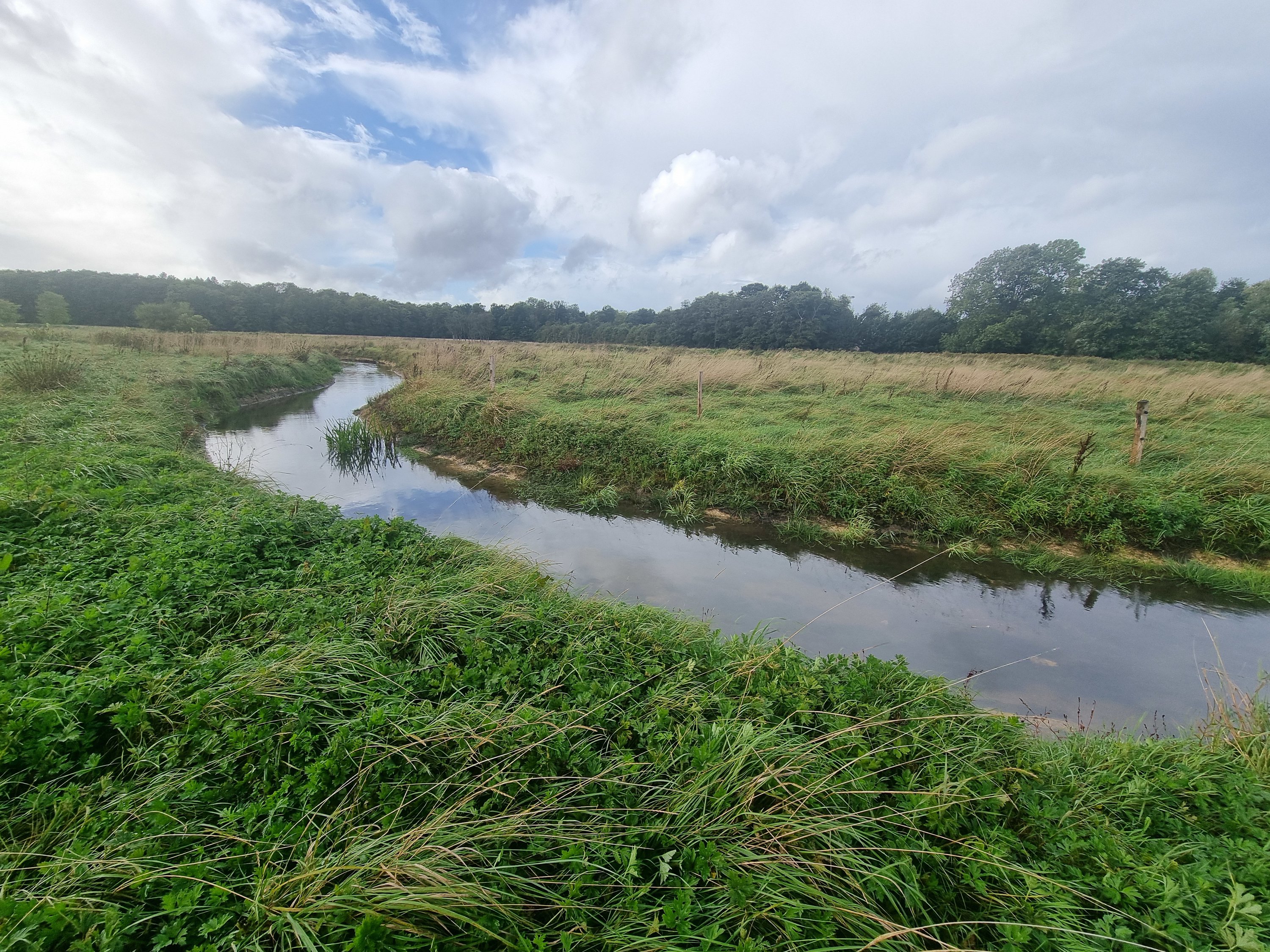 Planteavlsgård / -jord på Møgelkærvej 1as, 7130 Juelsminde