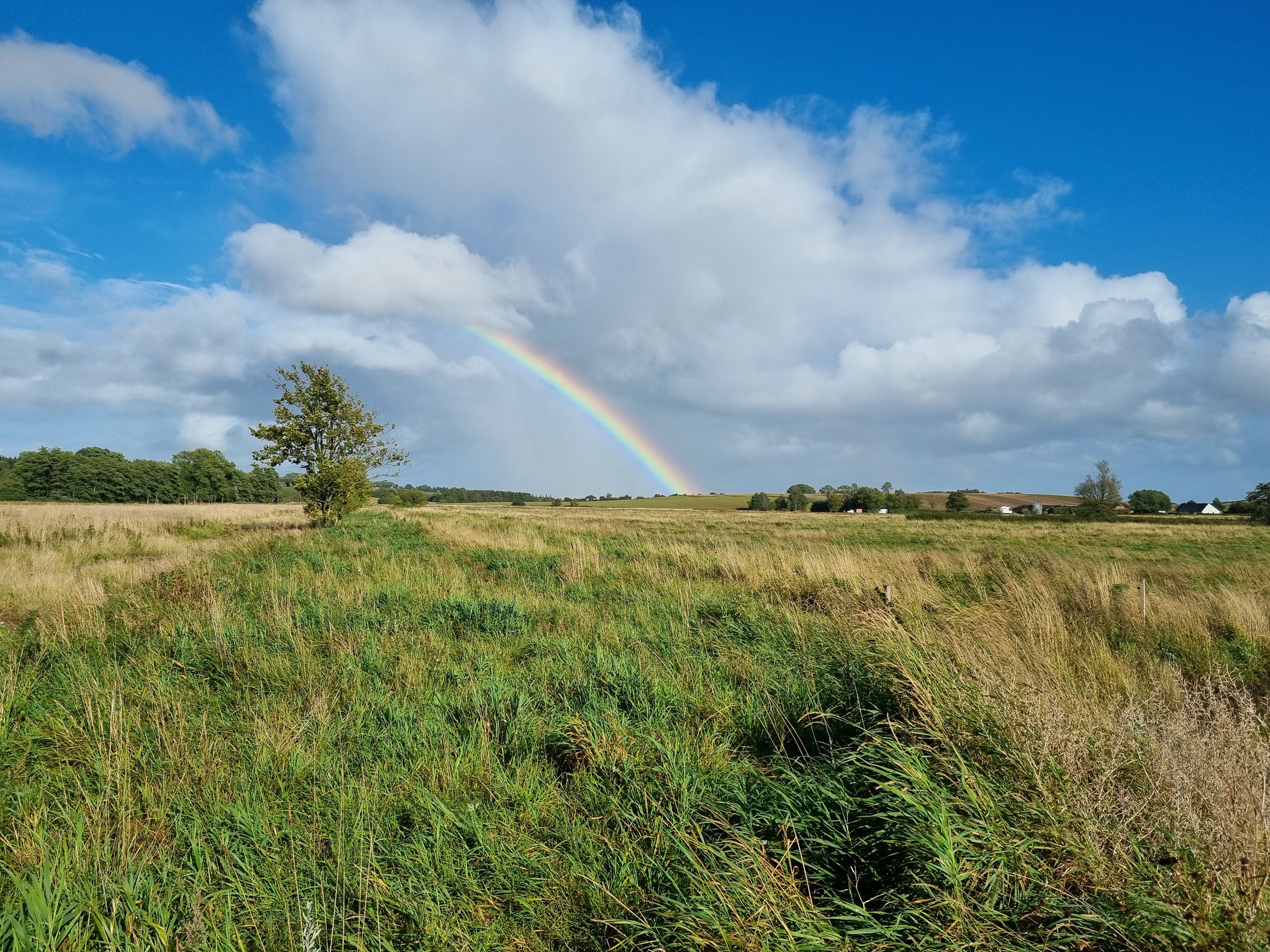Planteavlsgård / -jord på Møgelkærvej 1aø, 7130 Juelsminde