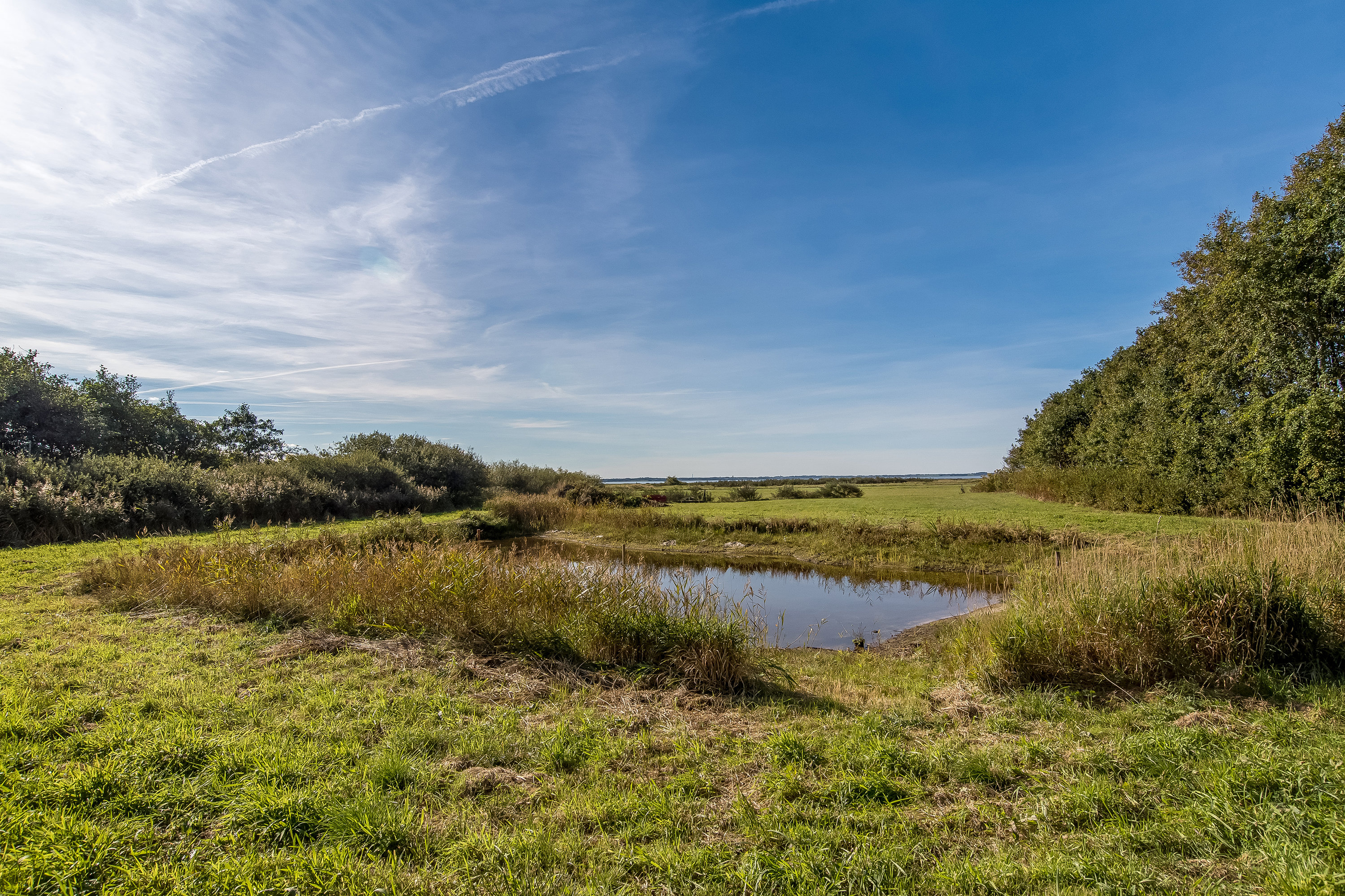 Fremhævet  billede i fuldskærmstilstand. Billede af Mosevej 31, Landting, 7830 Vinderup