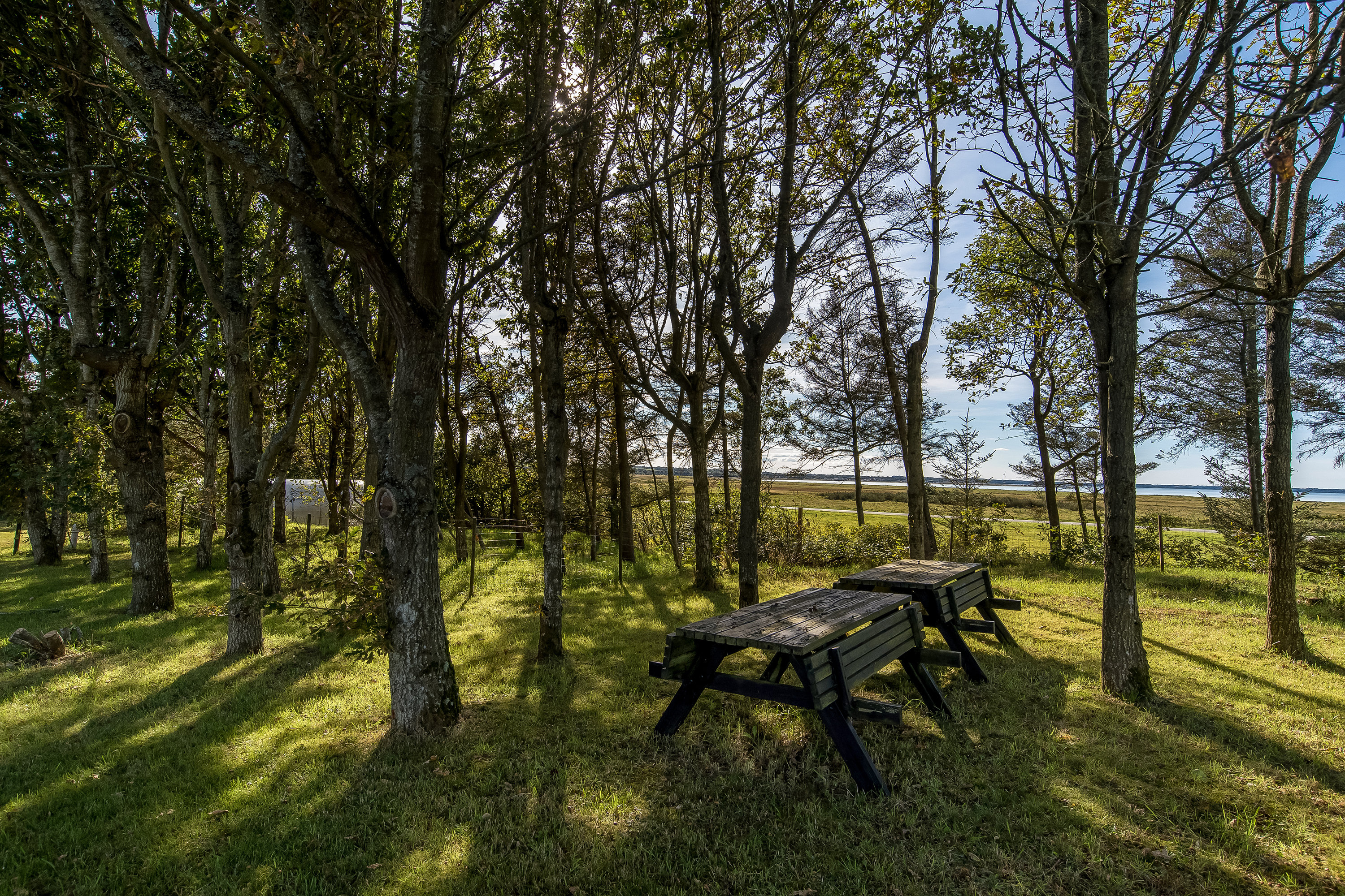 Fremhævet  billede i fuldskærmstilstand. Billede af Mosevej 31, Landting, 7830 Vinderup