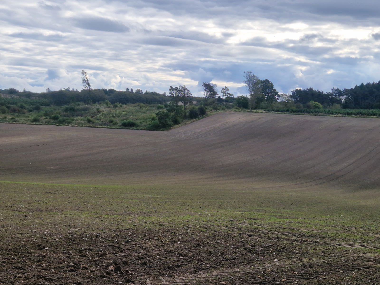 Miniaturebillede 1: . Billede af Haderupvej 8, Hadsund Syd, 9560 Hadsund