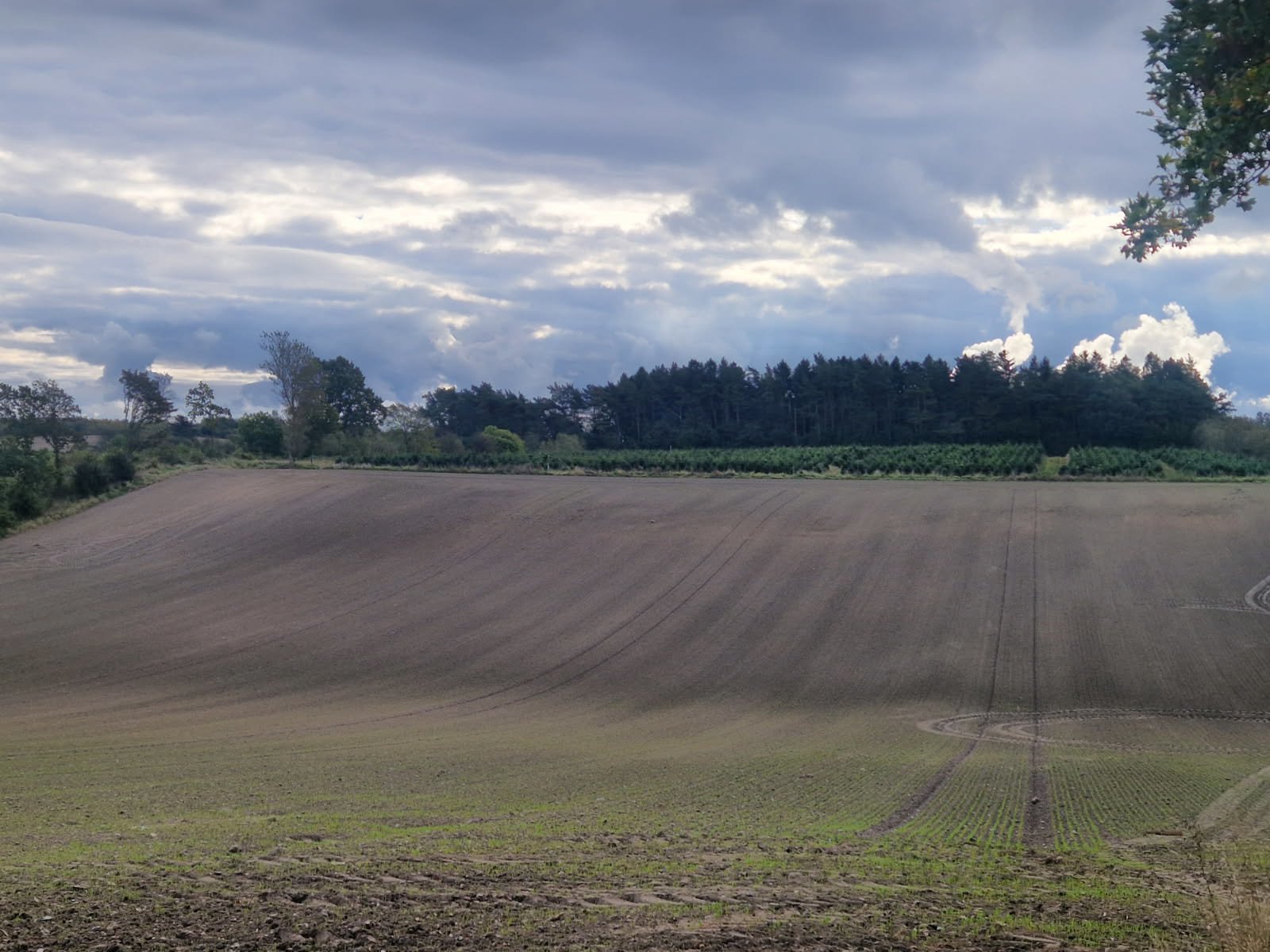 Miniaturebillede 2: . Billede af Haderupvej 8, Hadsund Syd, 9560 Hadsund