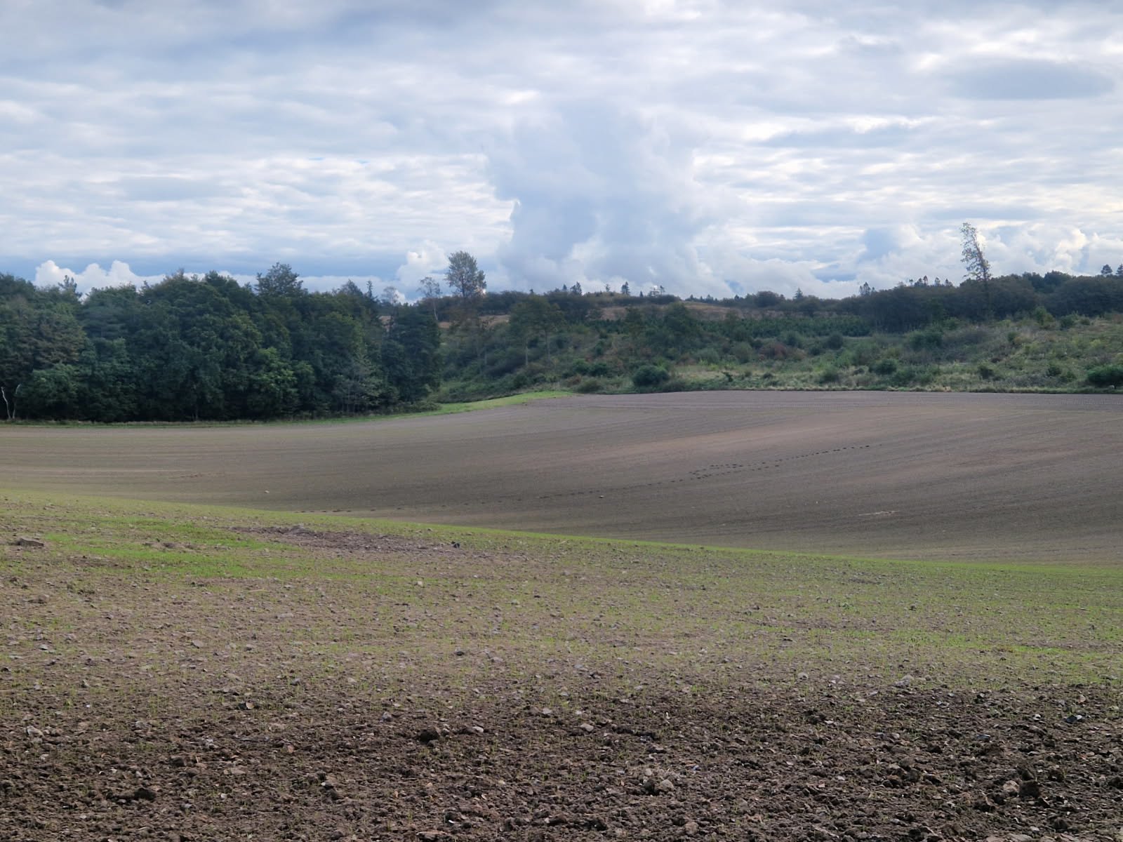 Fremhævet  billede i fuldskærmstilstand. Billede af Haderupvej 8, Hadsund Syd, 9560 Hadsund