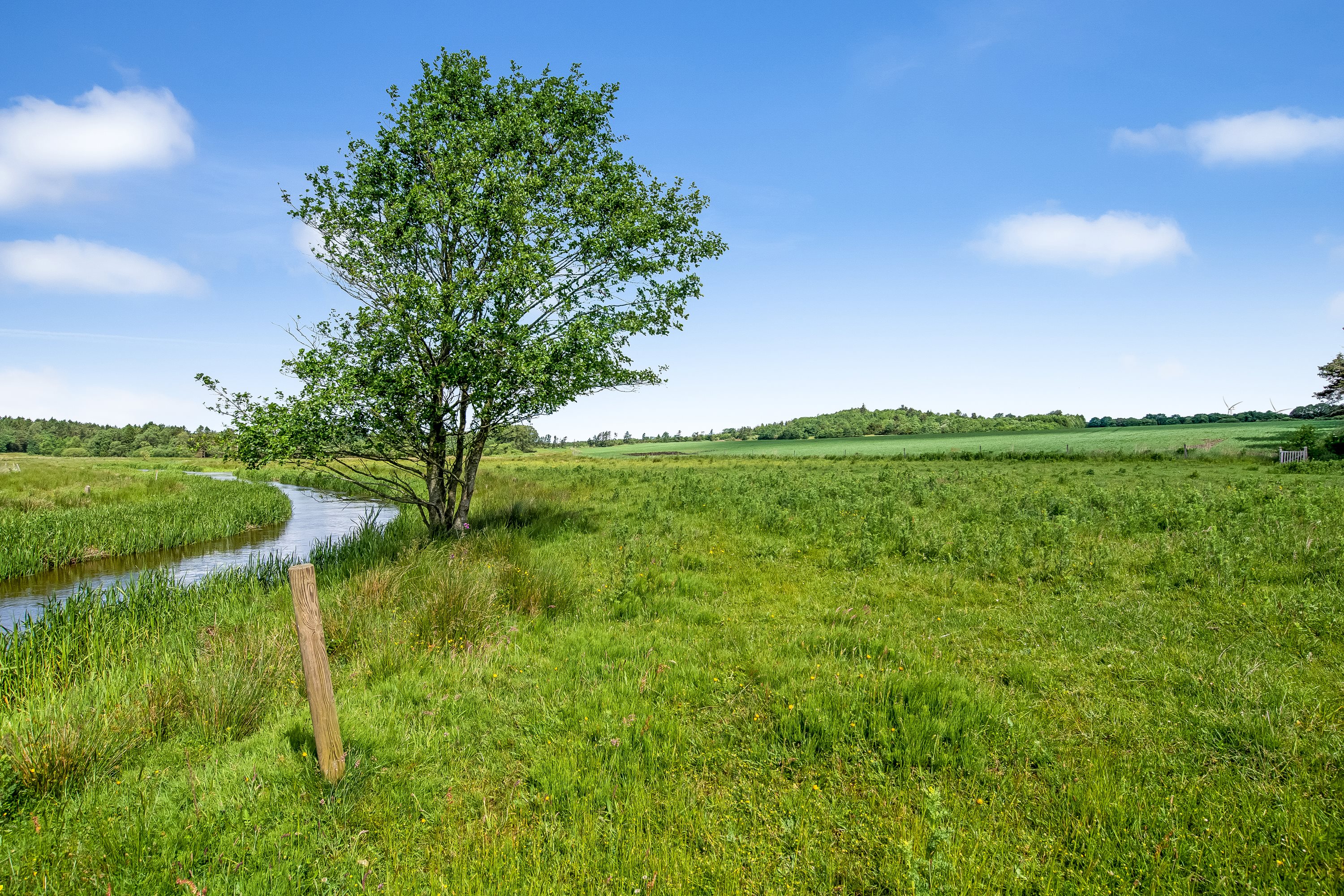 Fremhævet  billede i fuldskærmstilstand. Billede af Nymøllevej 4 (udstykning), Råsted, 7500 Holstebro