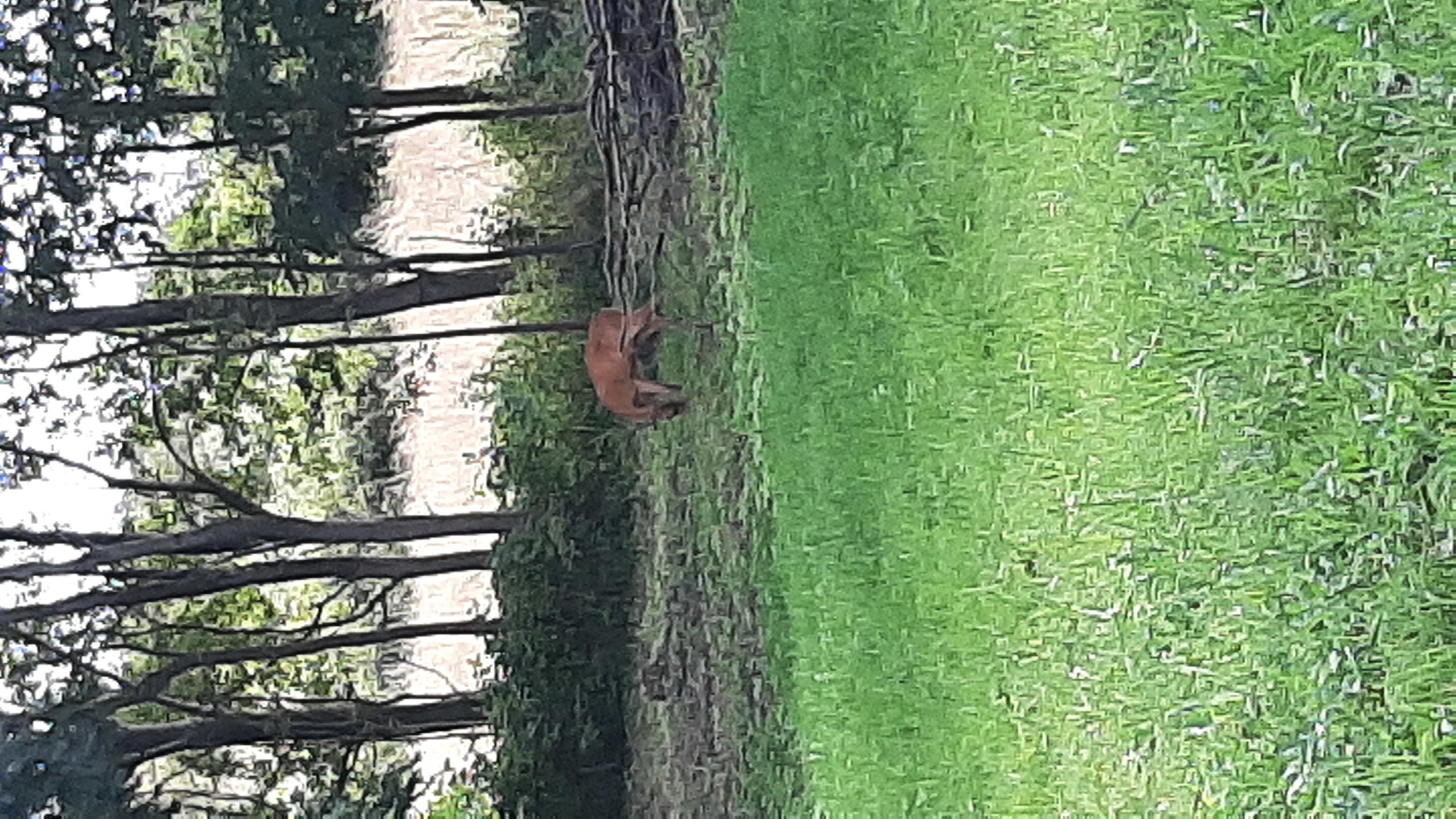 Fremhævet  billede i fuldskærmstilstand. Billede af Mosevej 31, Landting, 7830 Vinderup