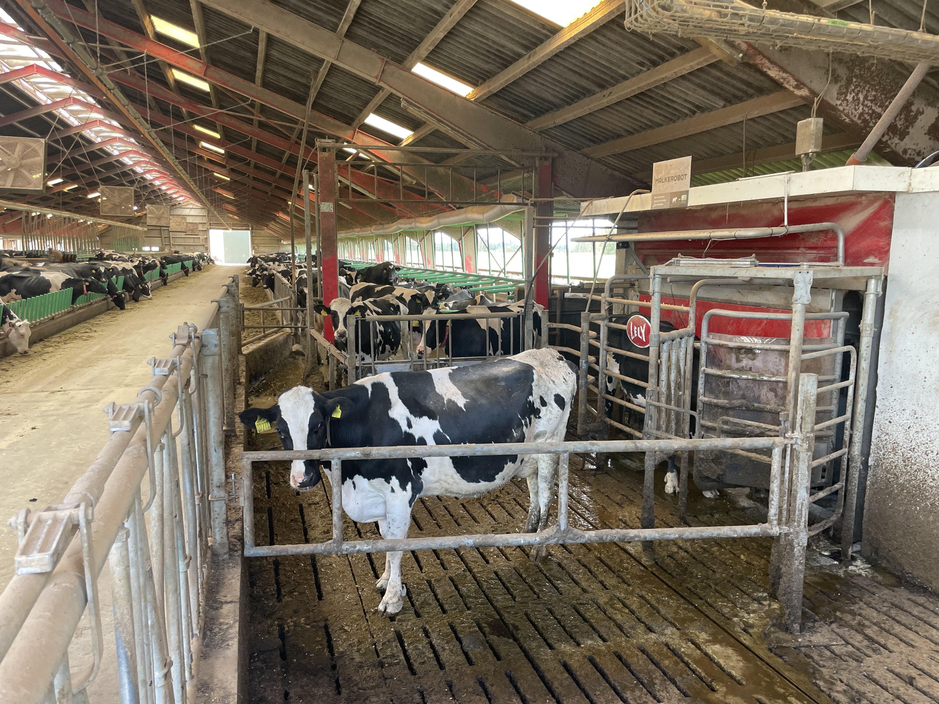 Fremhævet nykælverhold billede i fuldskærmstilstand. Billede af Åbølvej 16, 6372 Bylderup-Bov