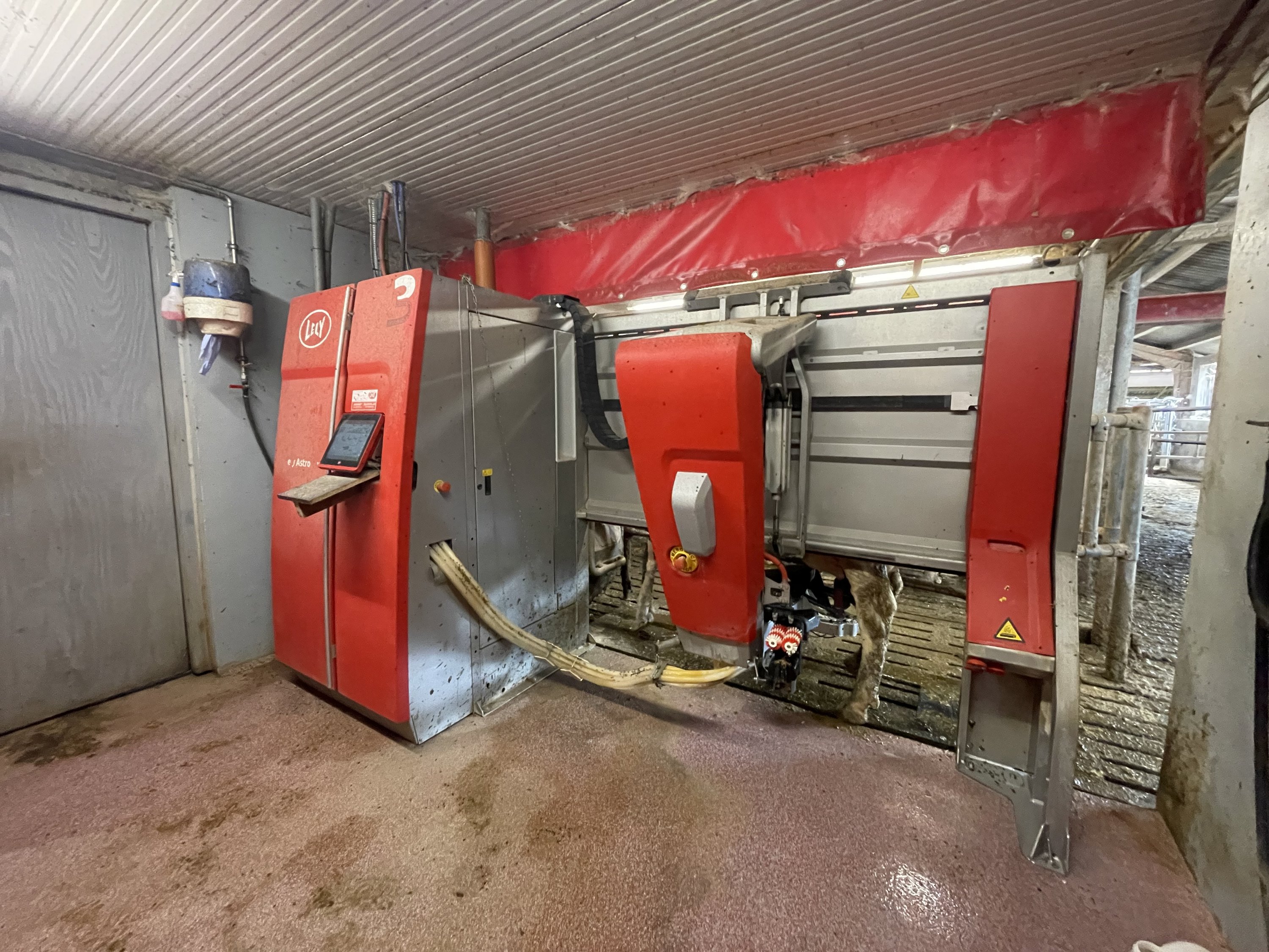 Fremhævet lely a5-malkerobot billede i fuldskærmstilstand. Billede af Åbølvej 16, 6372 Bylderup-Bov