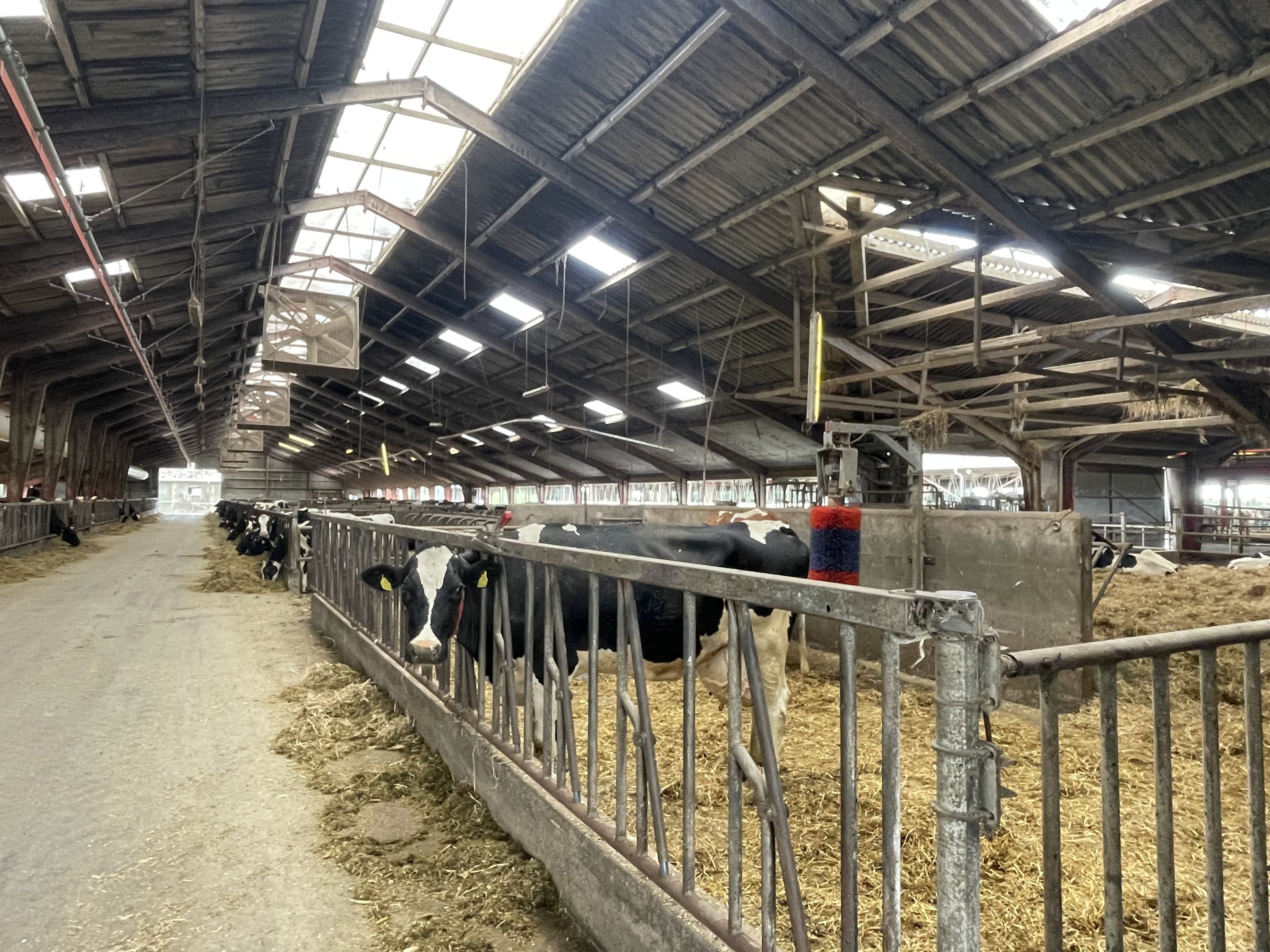 Fremhævet skånehold ved robot billede i fuldskærmstilstand. Billede af Åbølvej 16, 6372 Bylderup-Bov