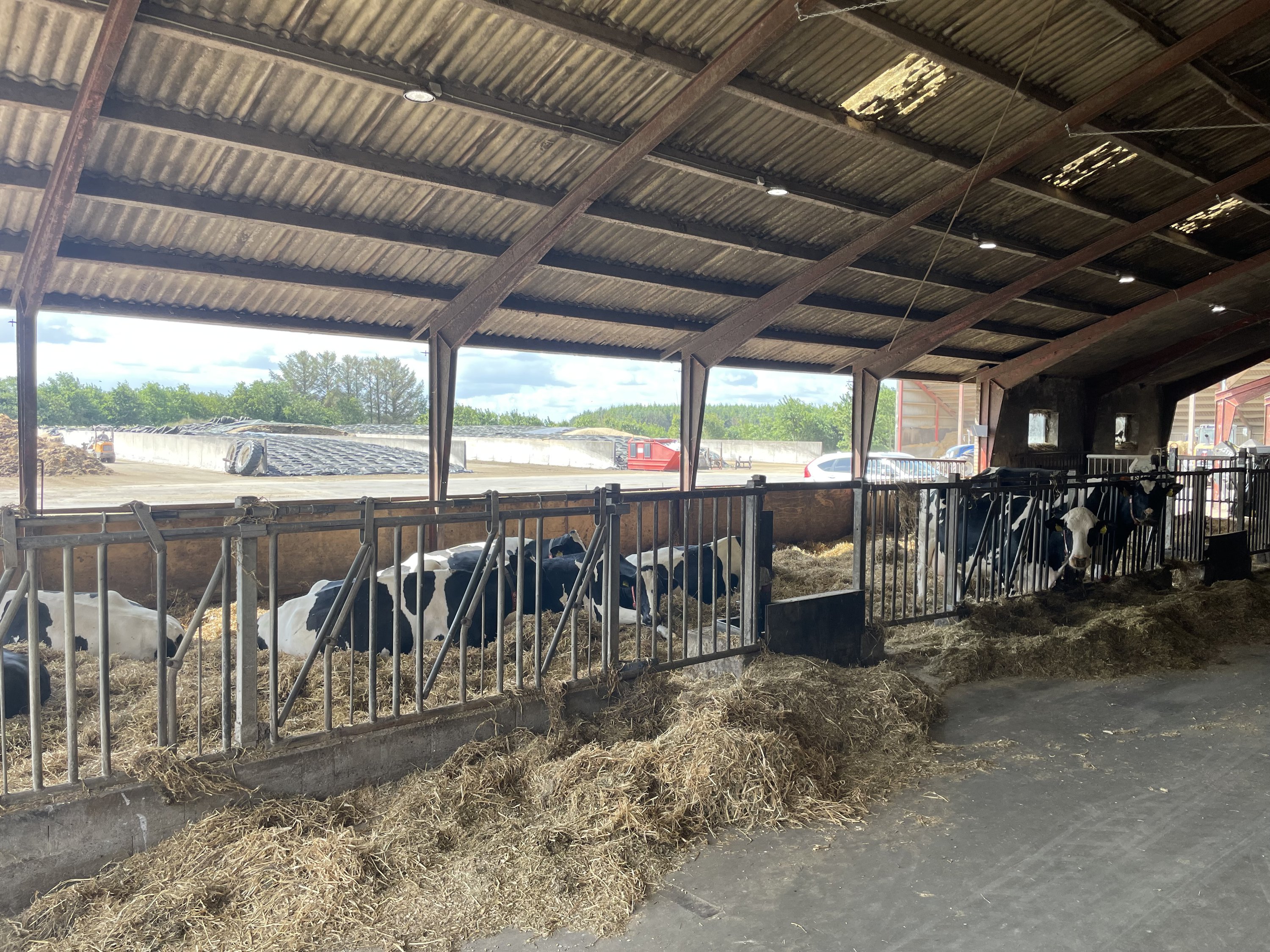 Fremhævet kælvningsbokse i foderlade billede i fuldskærmstilstand. Billede af Åbølvej 16, 6372 Bylderup-Bov