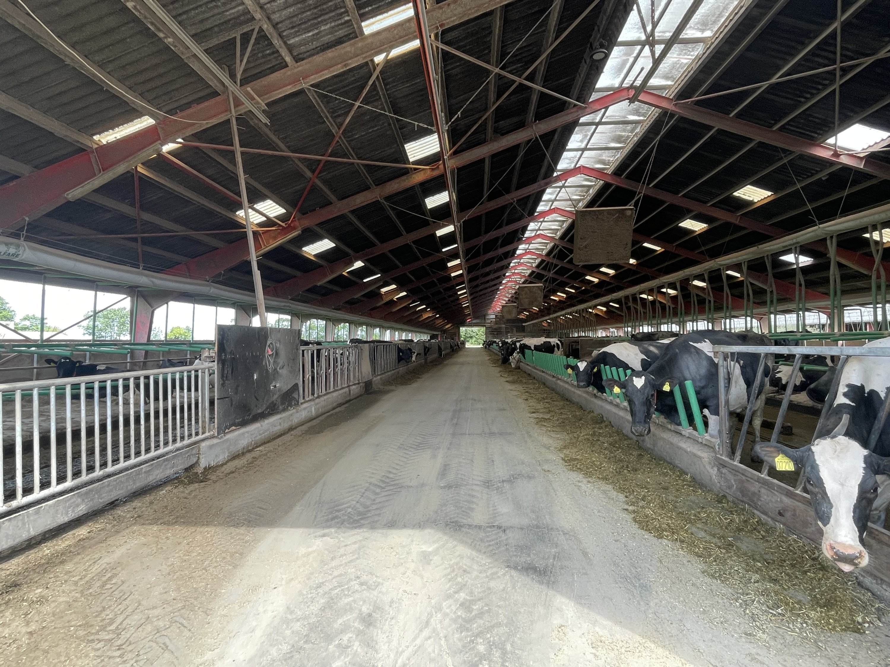 Fremhævet kostald set fra syd billede i fuldskærmstilstand. Billede af Åbølvej 16, 6372 Bylderup-Bov